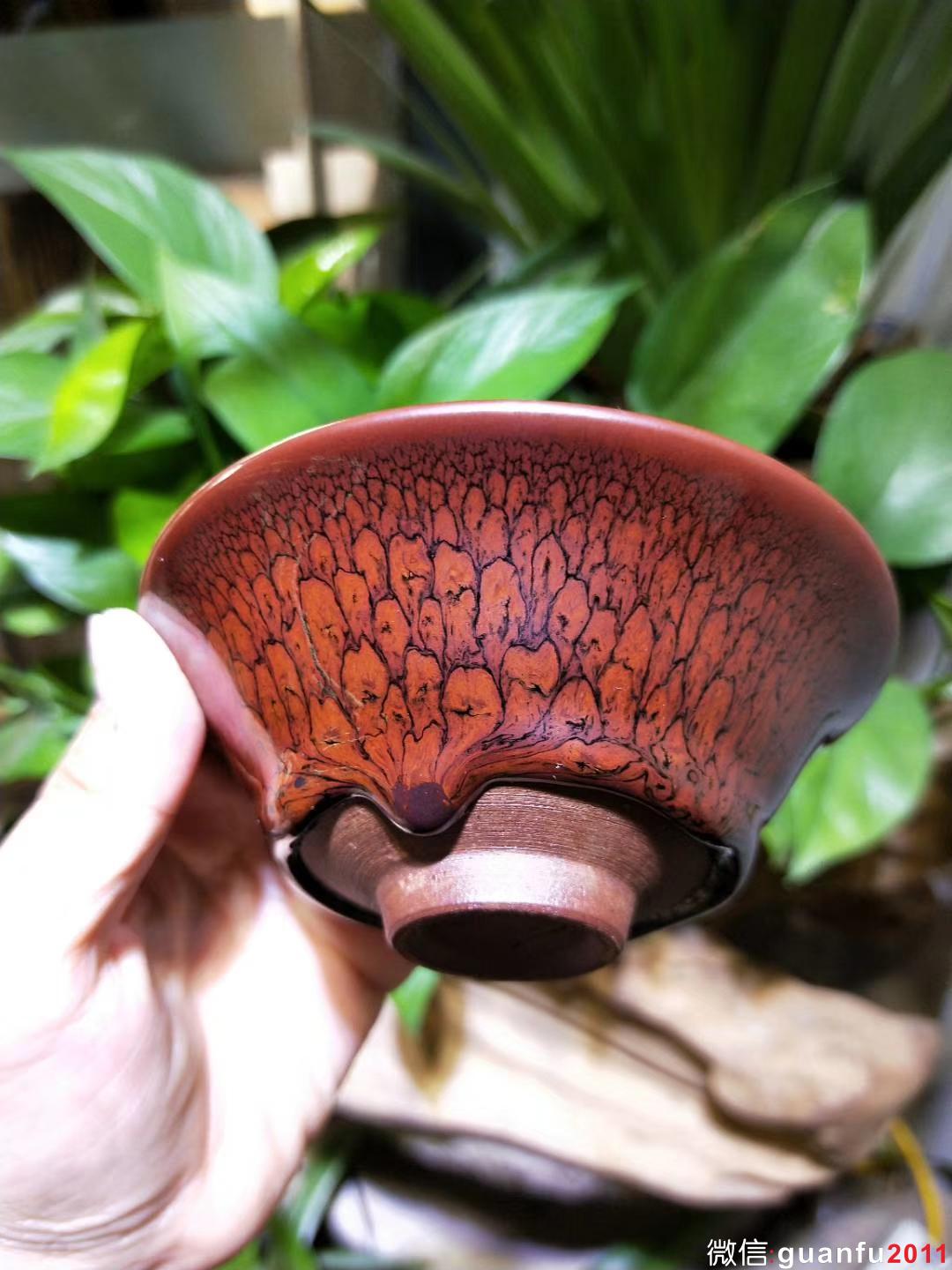 陳大鵬老師10.5印章款 鷓鴣羽毛