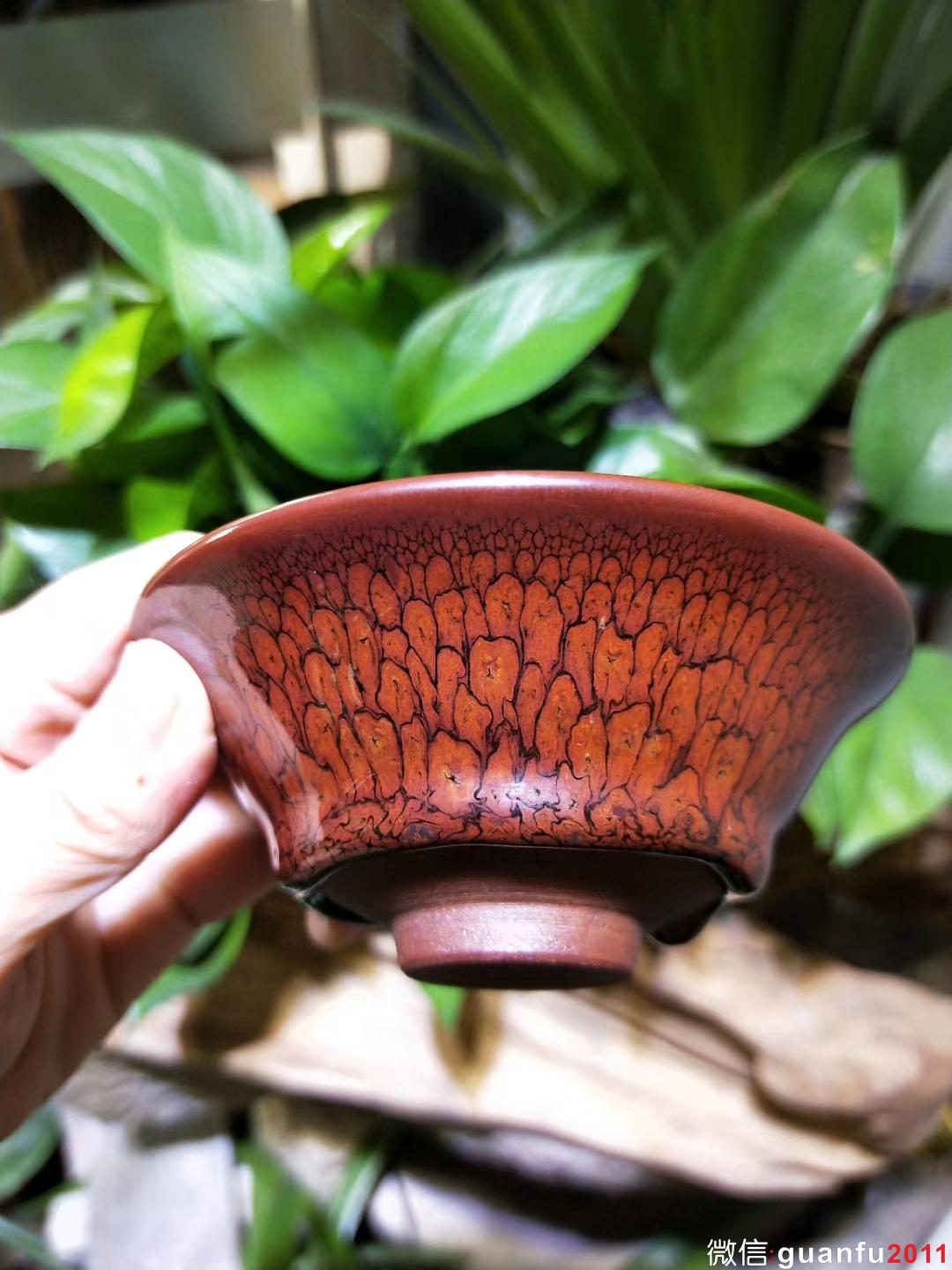 陳大鵬老師10.5印章款 鷓鴣羽毛