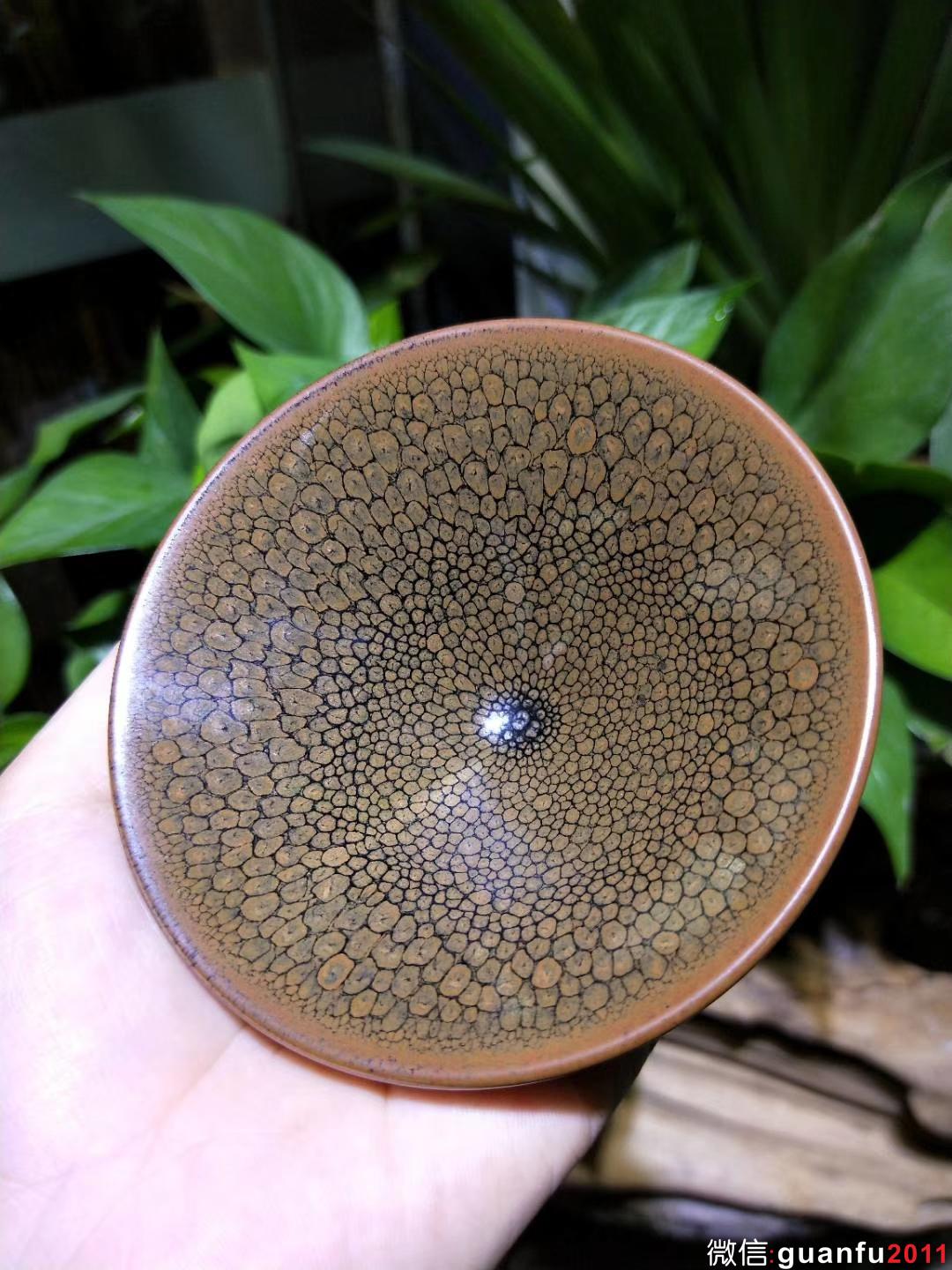 mmexport1530427676307