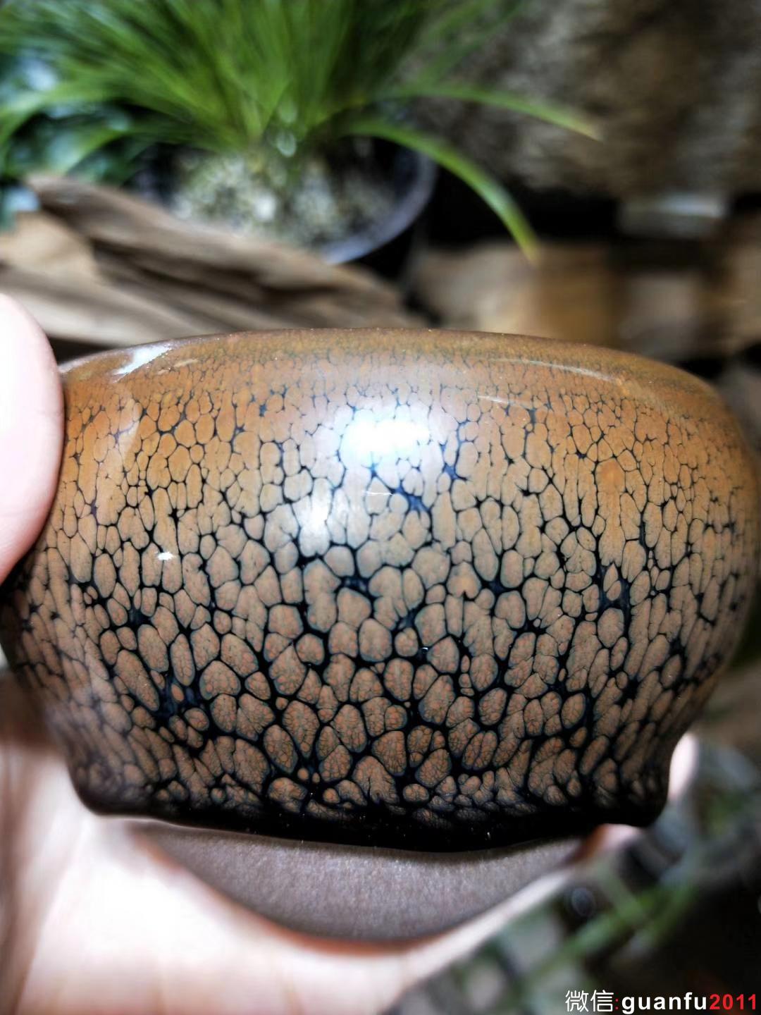 mmexport1530670954524