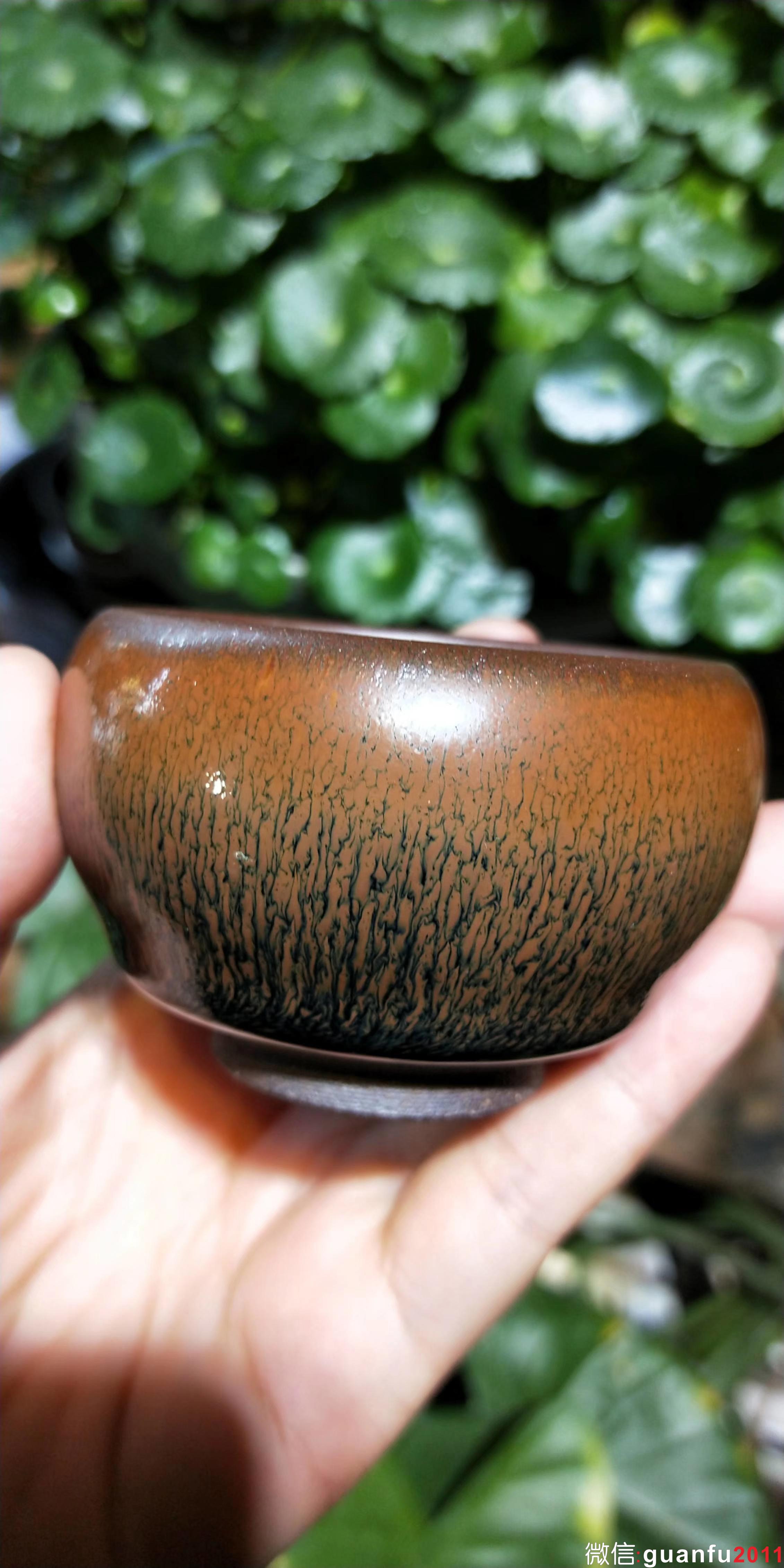 mmexport1530687471025