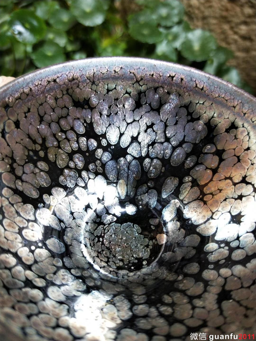 mmexport1530688279033