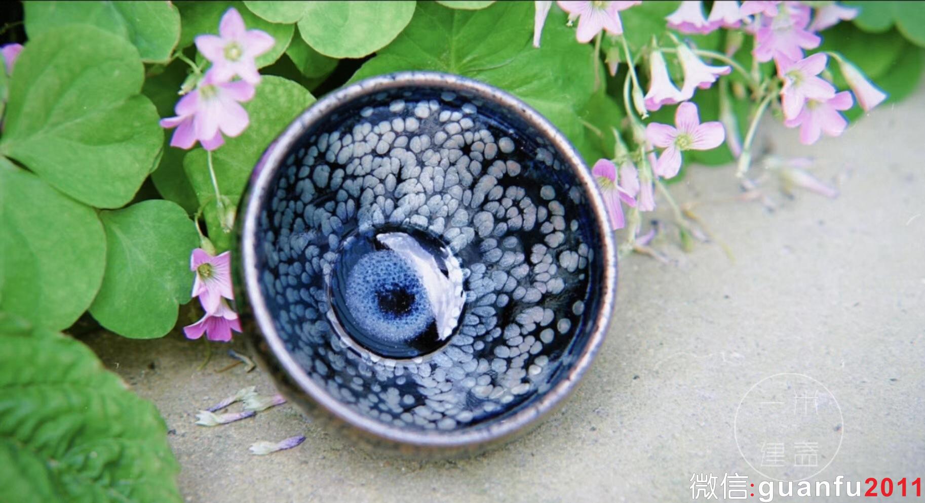 mmexport1531292079022