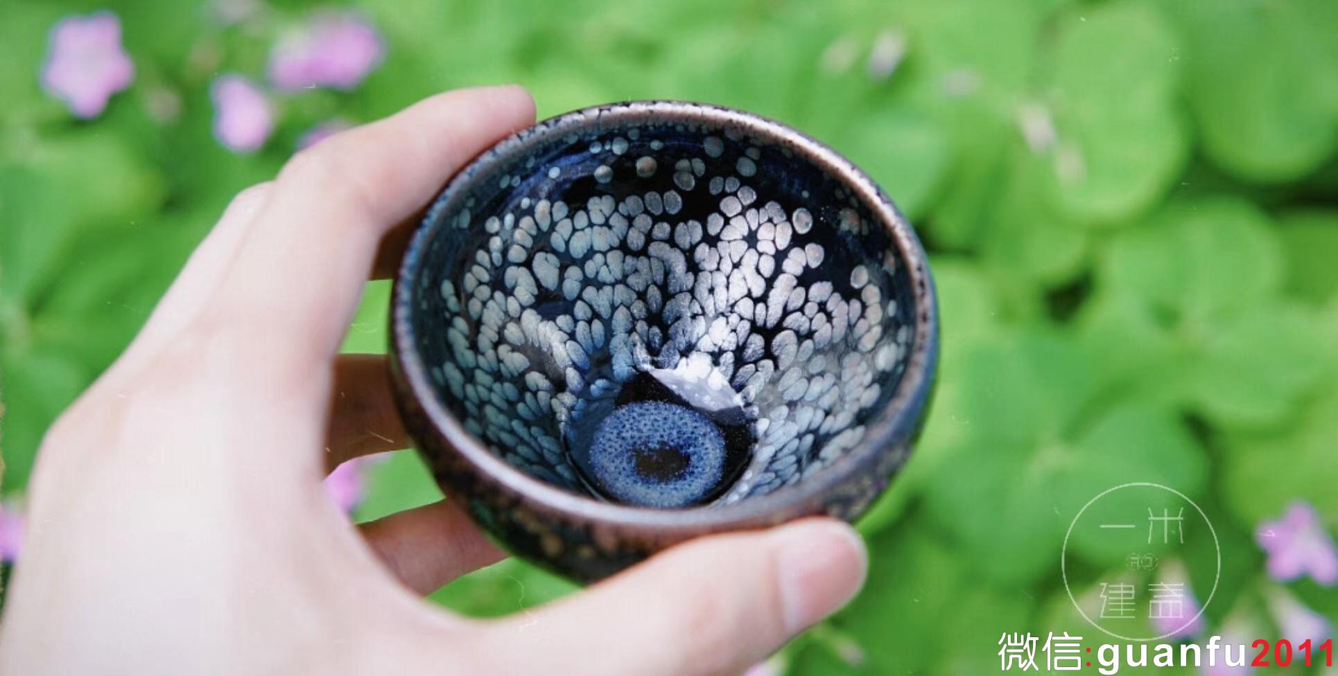 mmexport1531292081945