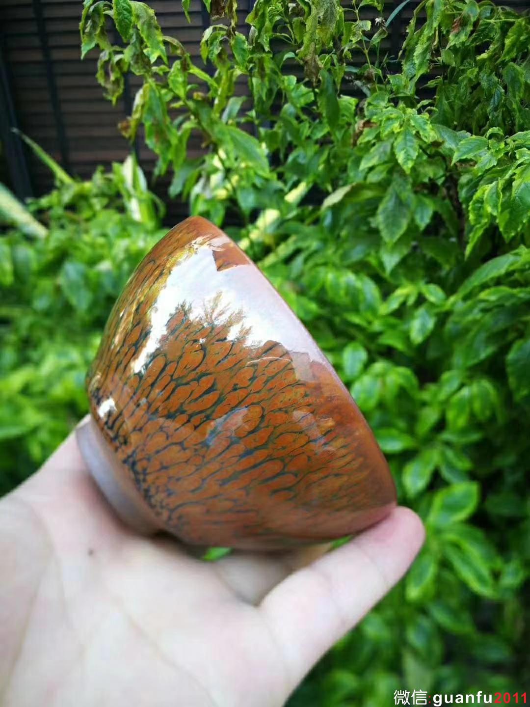 mmexport1531631707464