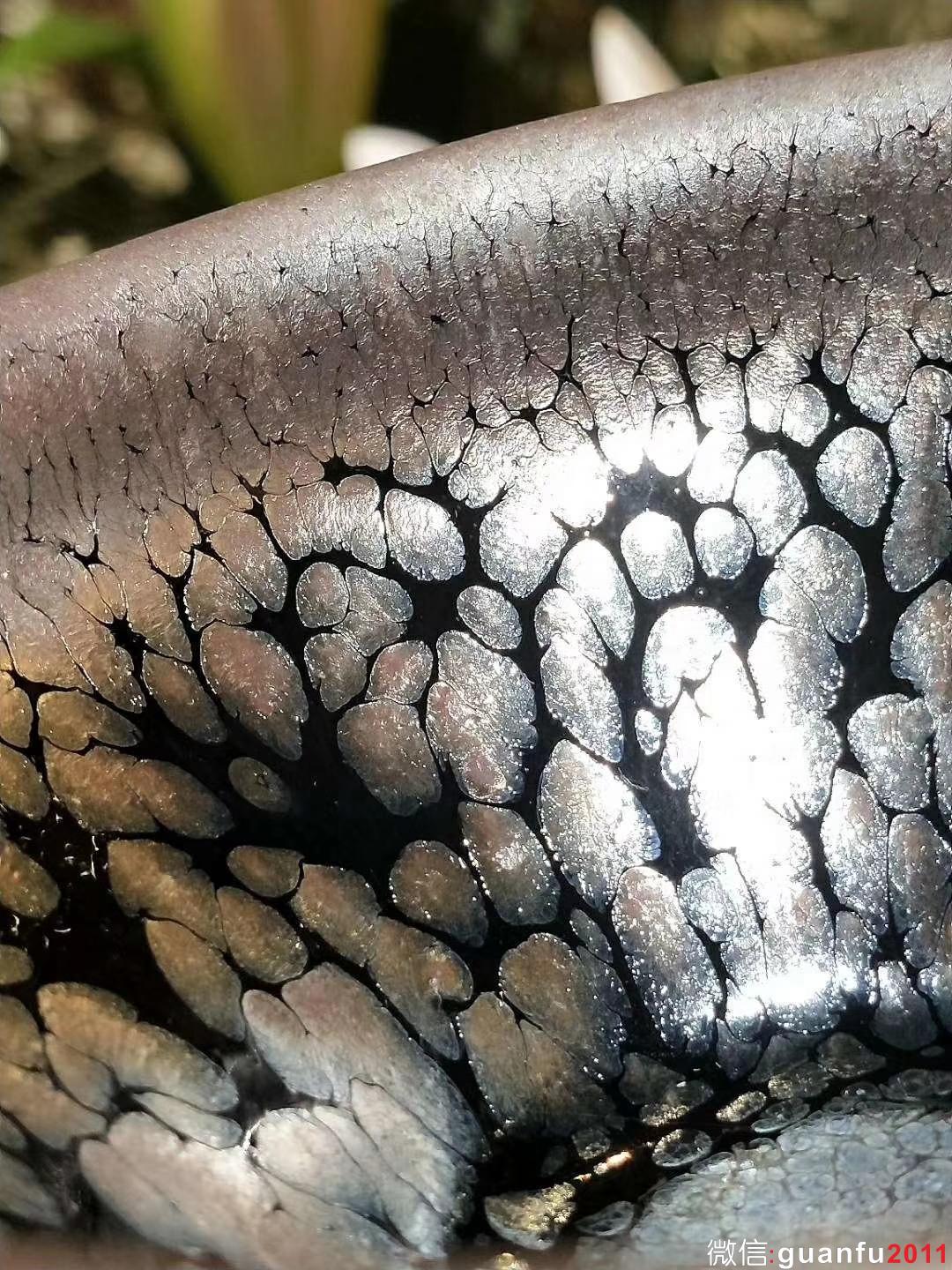 mmexport1531725187678