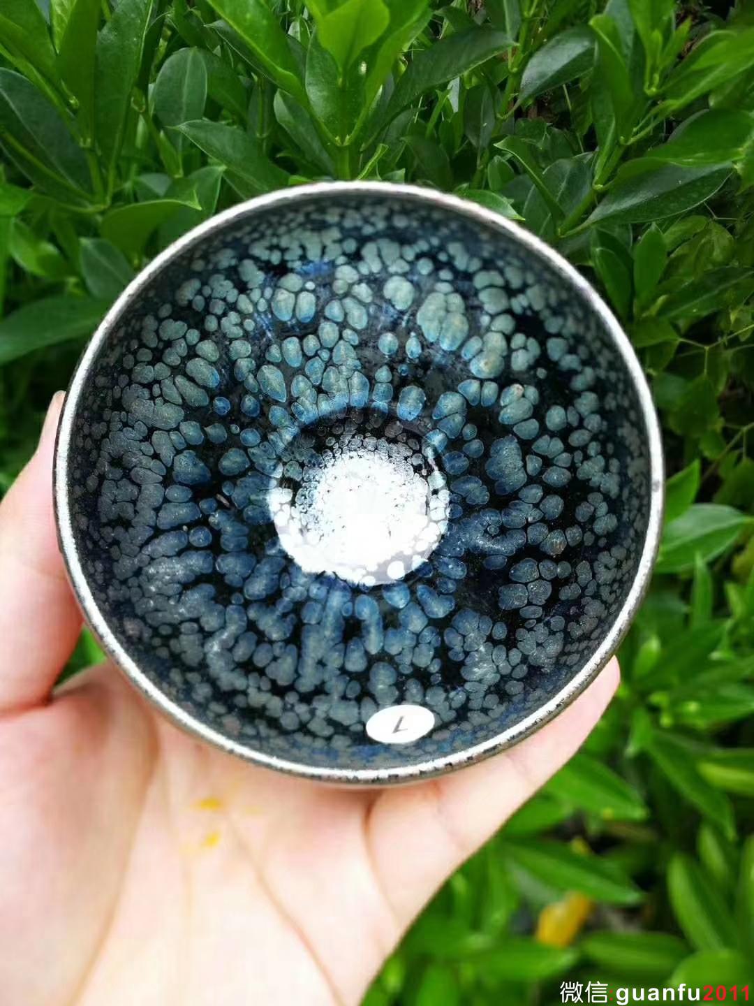 mmexport1531880308112