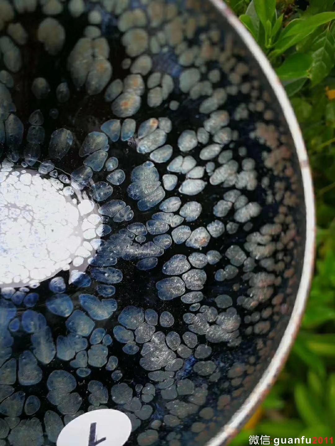 mmexport1531880309823