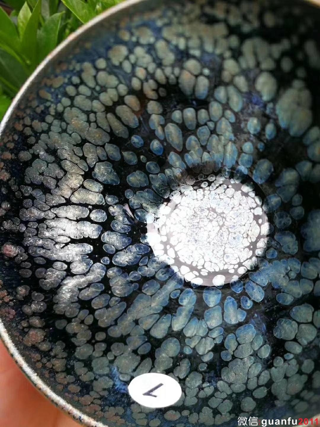 mmexport1531880311371