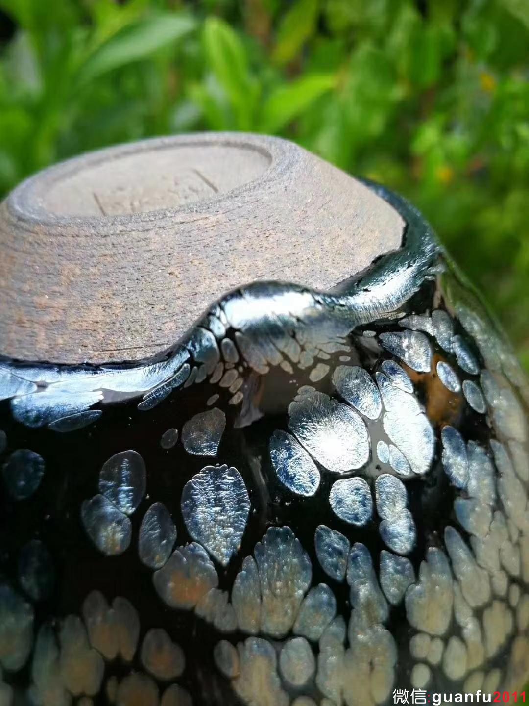 mmexport1531880314798