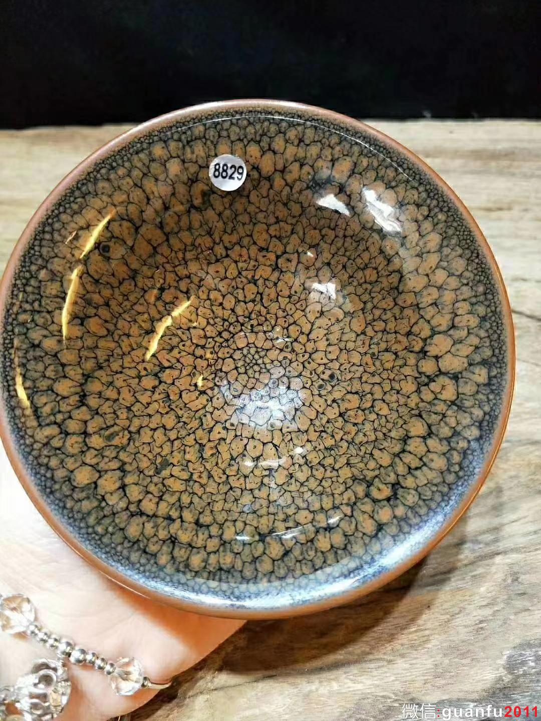 國大師   陳大鵬 10.5撇口黃鷓鴣 斑紋相對(duì)比較獨(dú)特