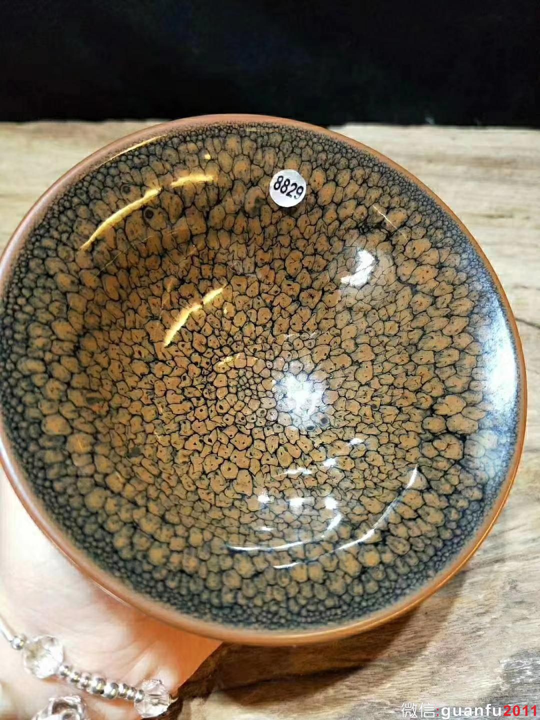 國大師   陳大鵬 10.5撇口黃鷓鴣 斑紋相對(duì)比較獨(dú)特