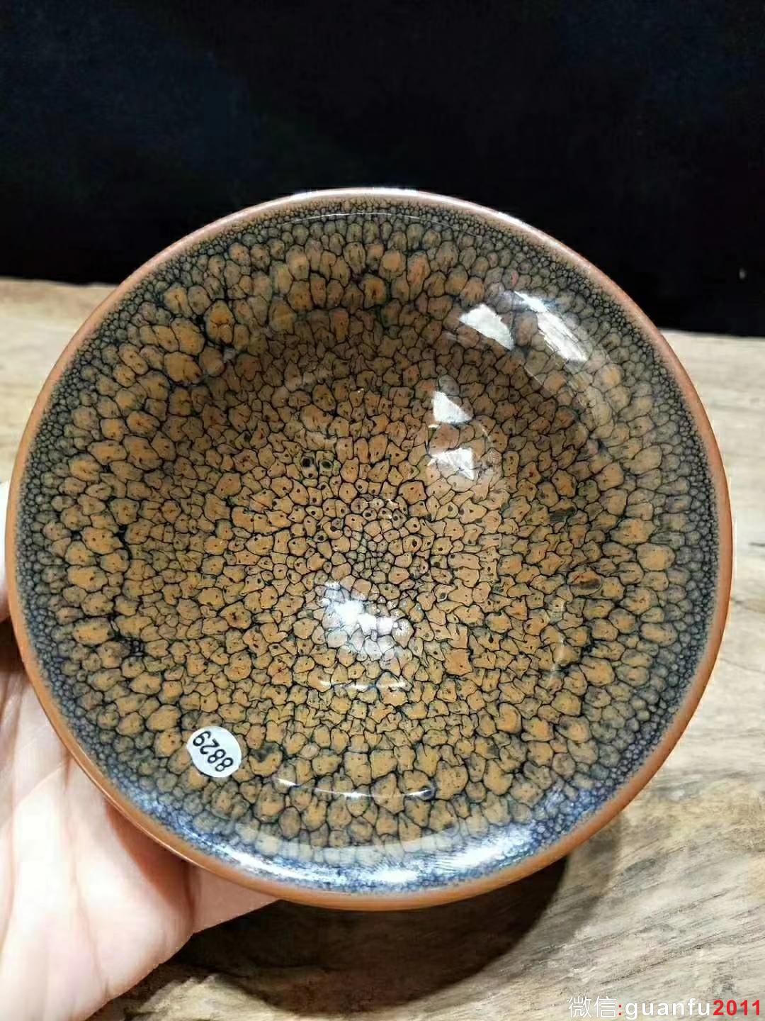 國大師   陳大鵬 10.5撇口黃鷓鴣 斑紋相對(duì)比較獨(dú)特