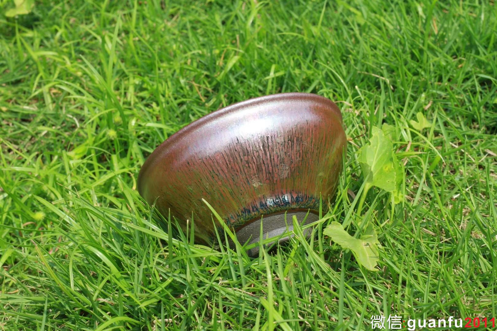 mmexport1531901542780