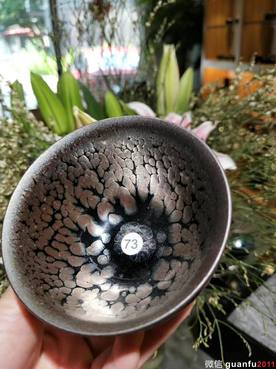 mmexport1531980114941