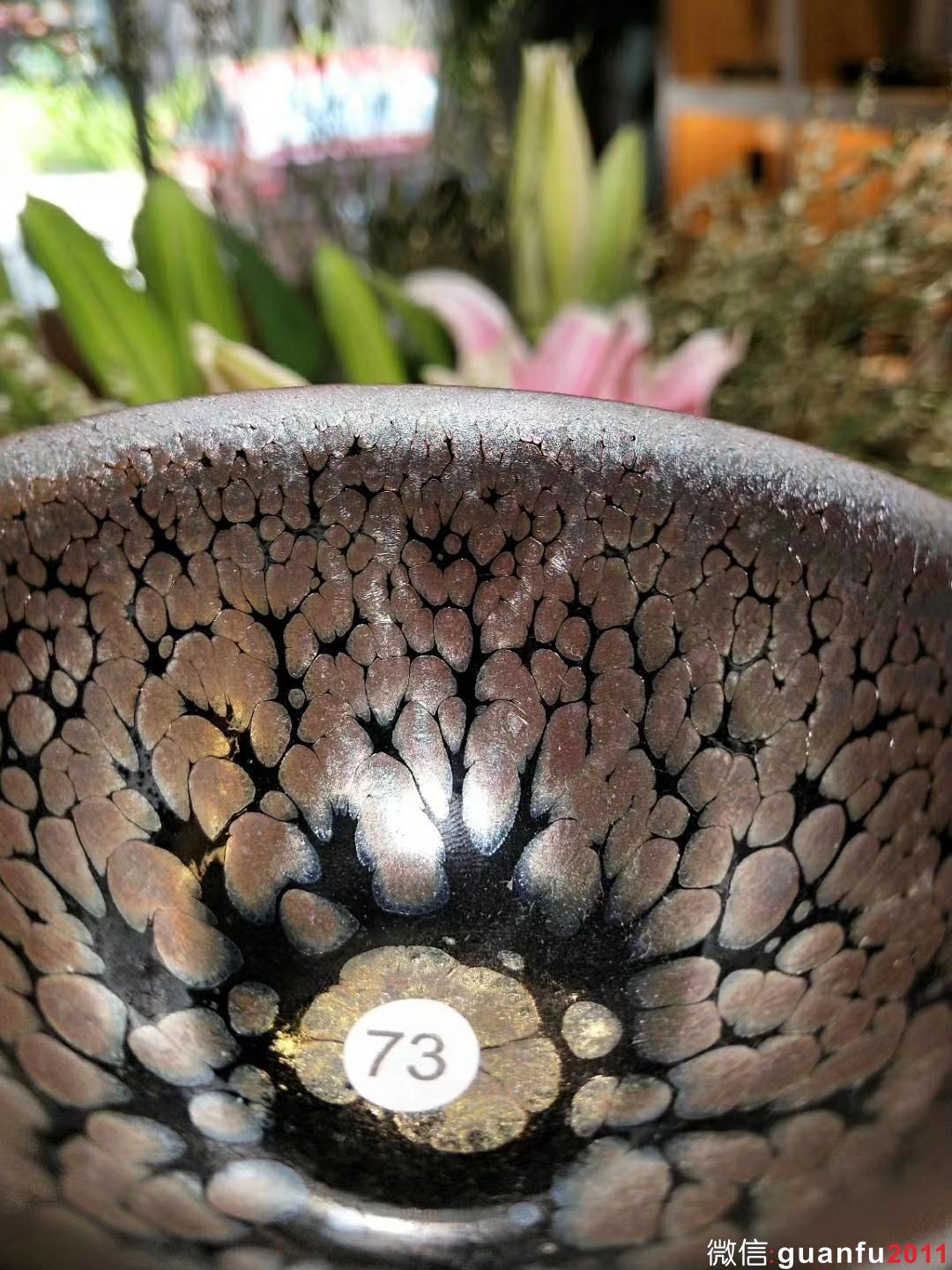 mmexport1531980116155