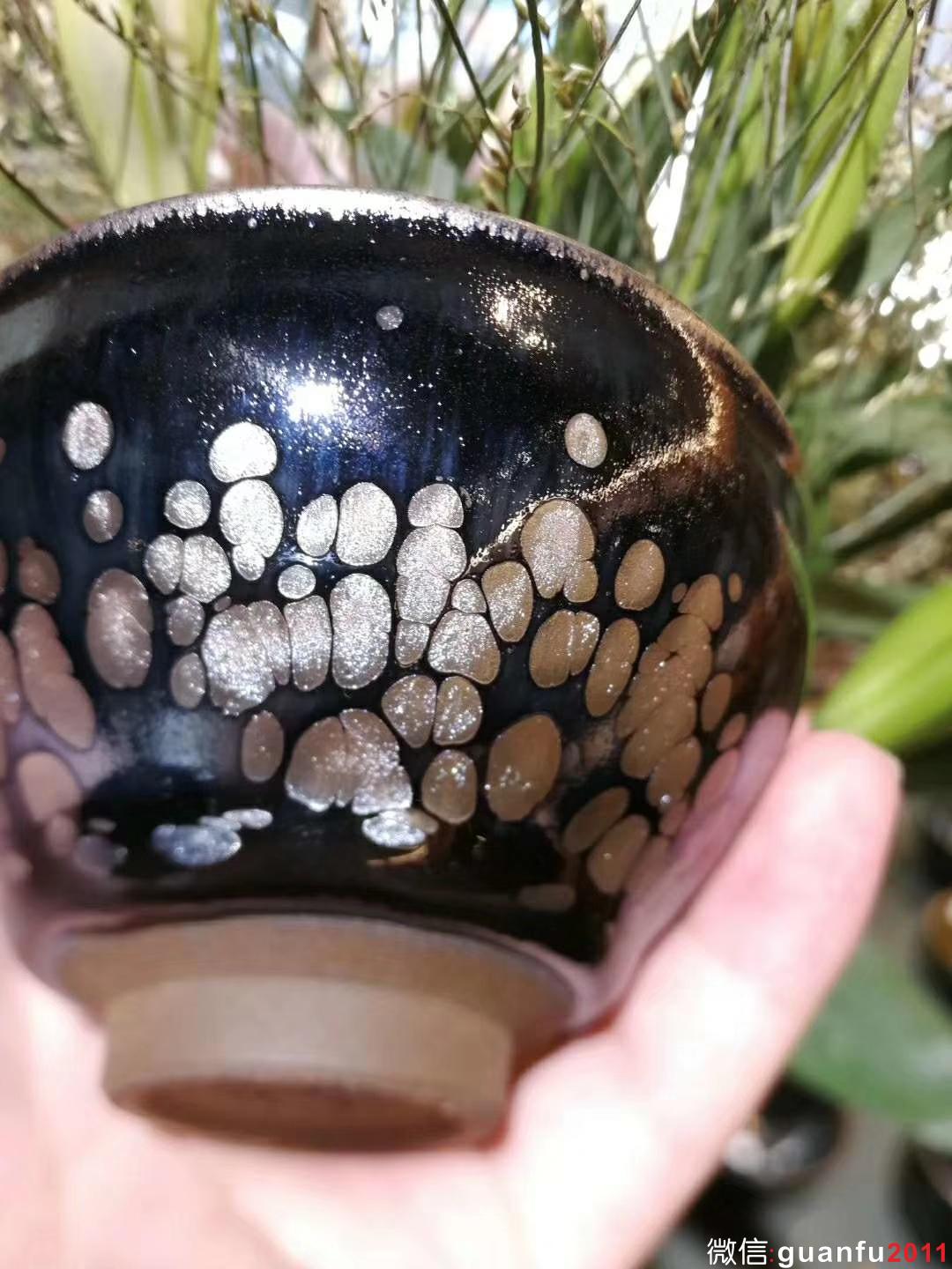 mmexport1531980243786