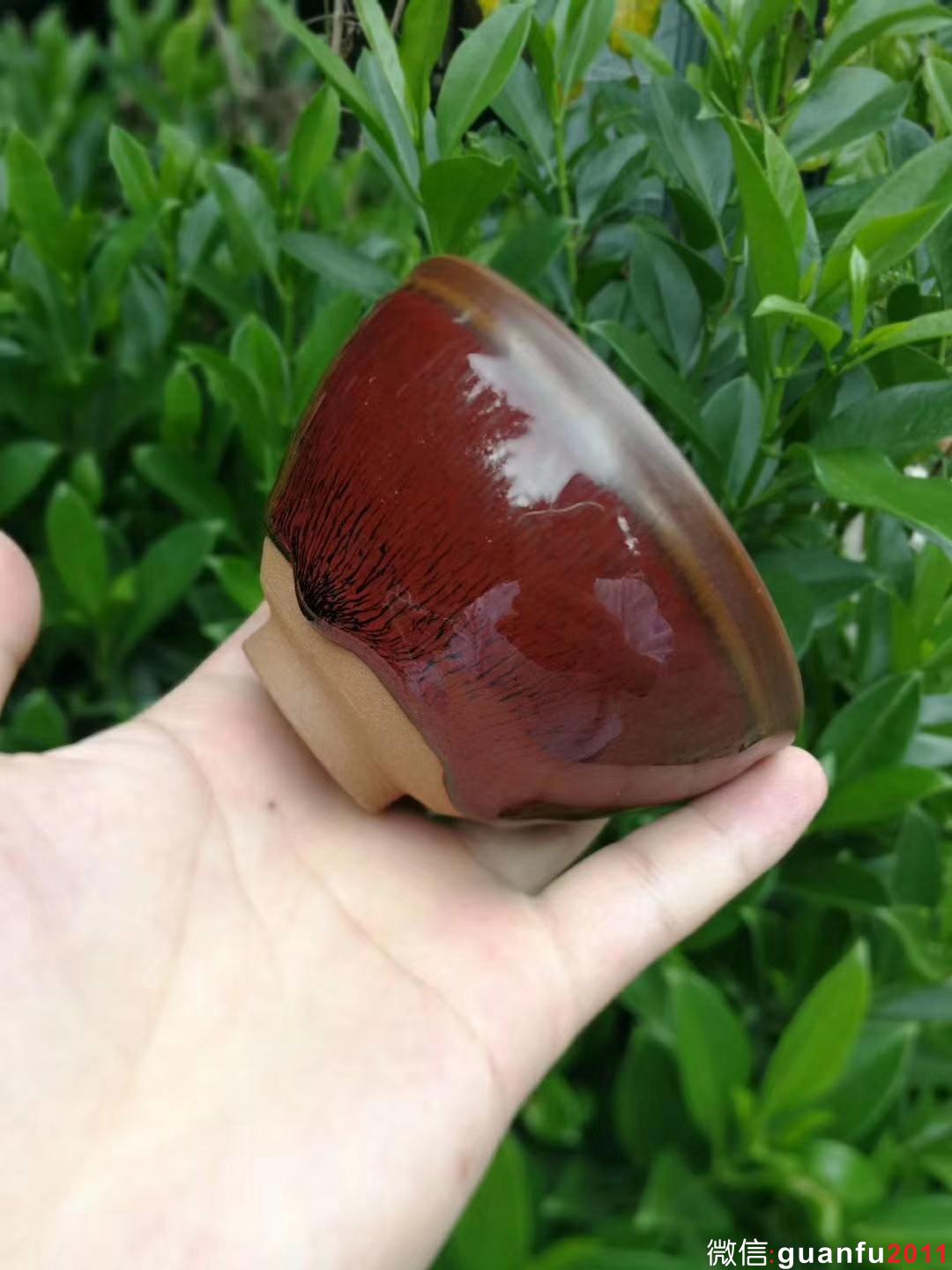 mmexport1532051931380