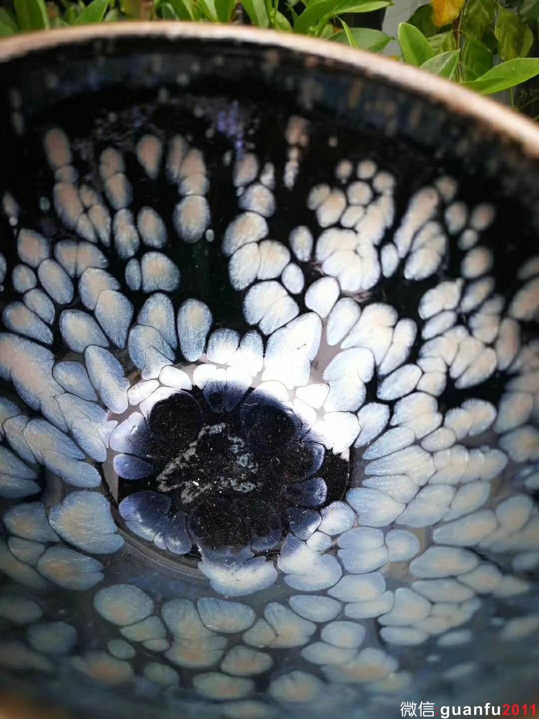 mmexport1532051972605