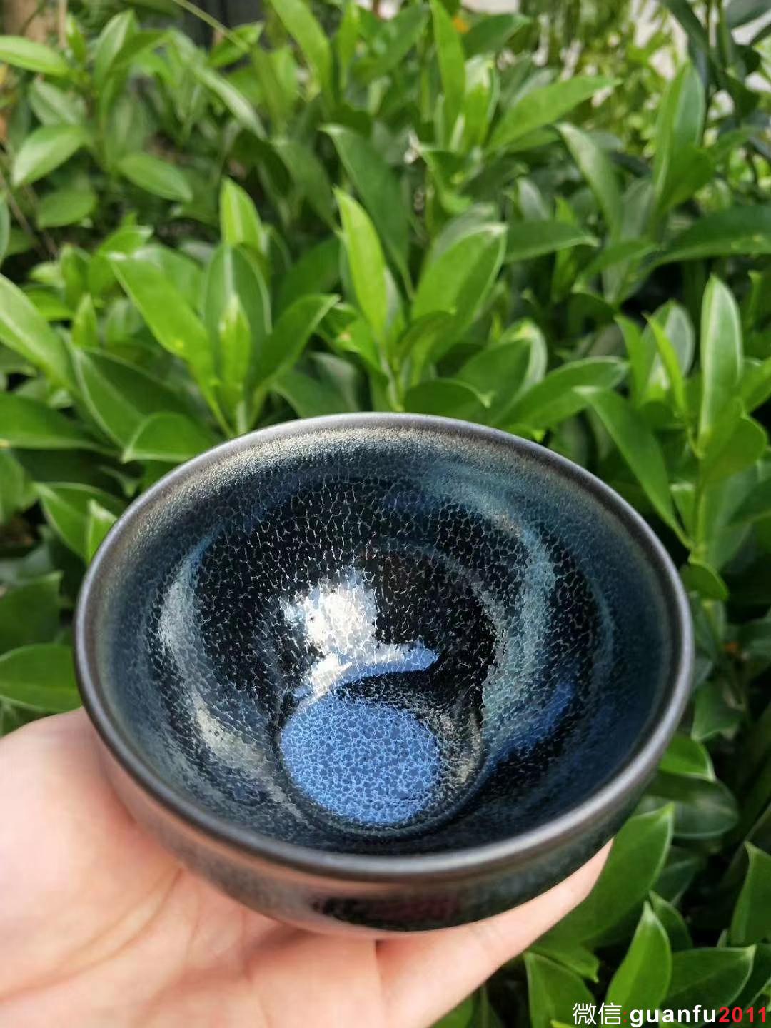 mmexport1532147914793