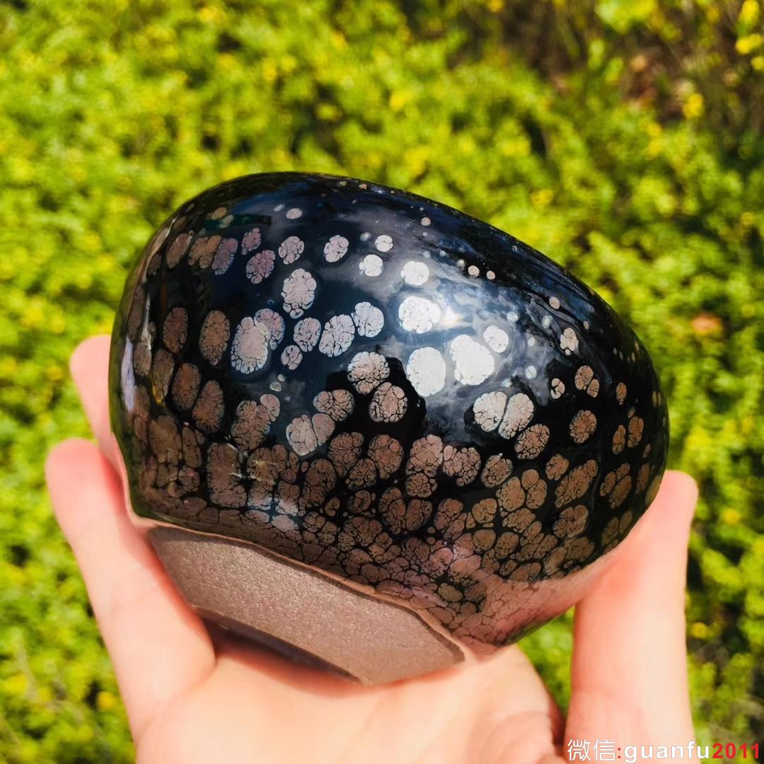 mmexport1532228301928