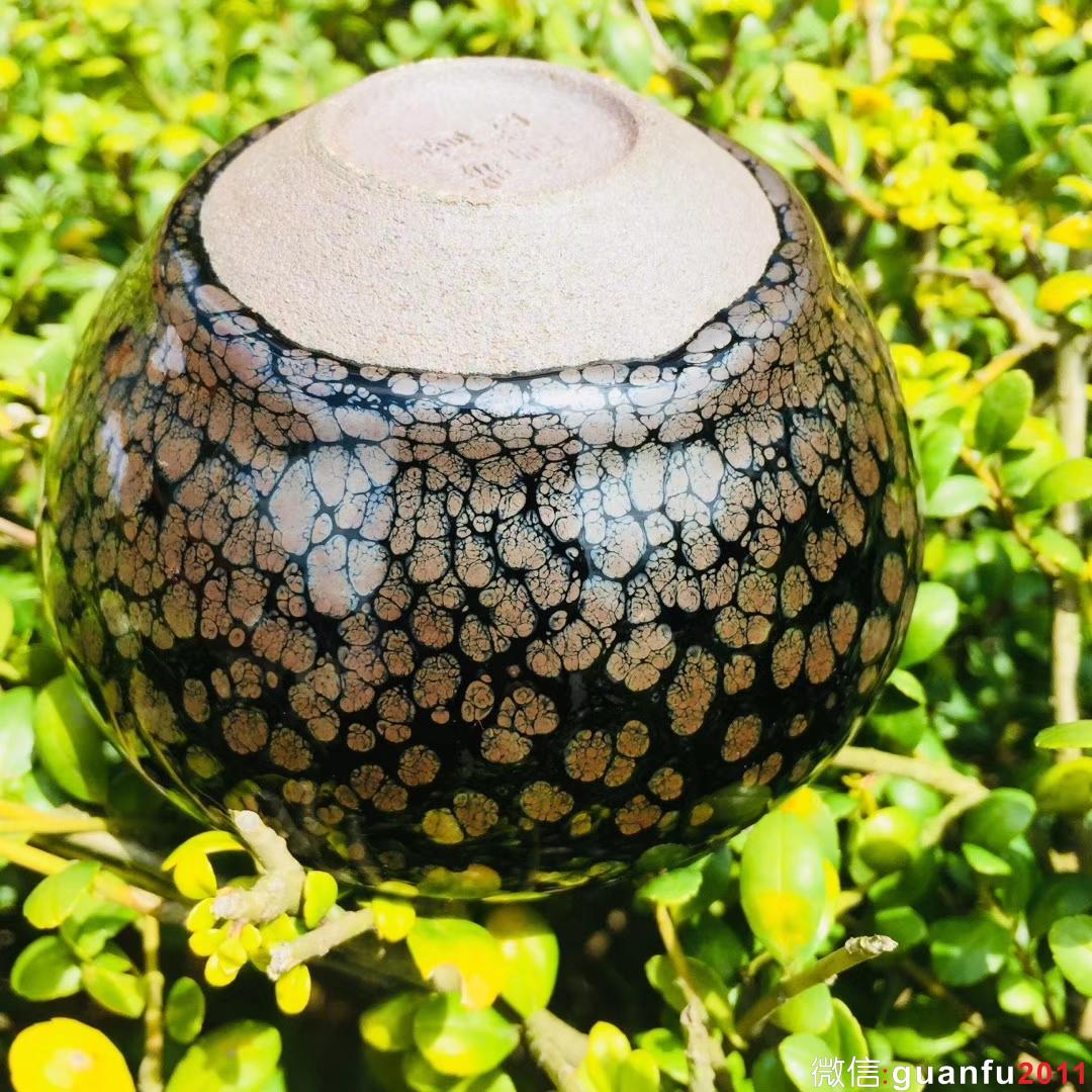 mmexport1532228304728