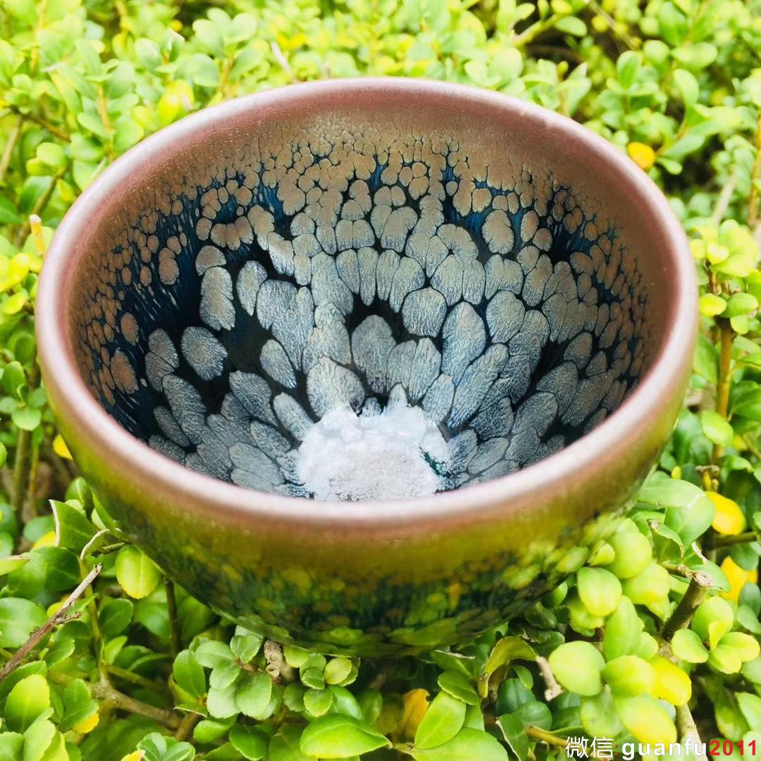 mmexport1532229371050