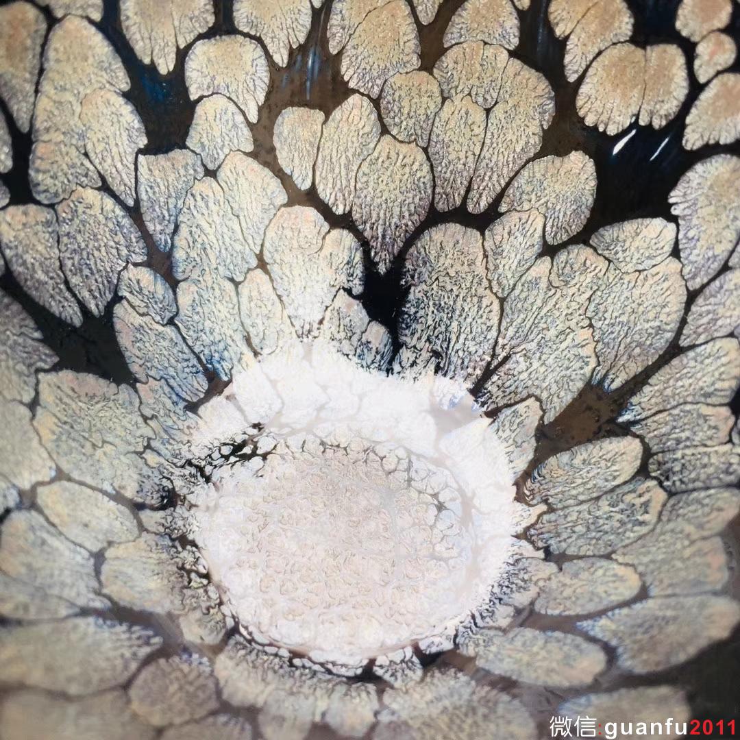 mmexport1532229377481