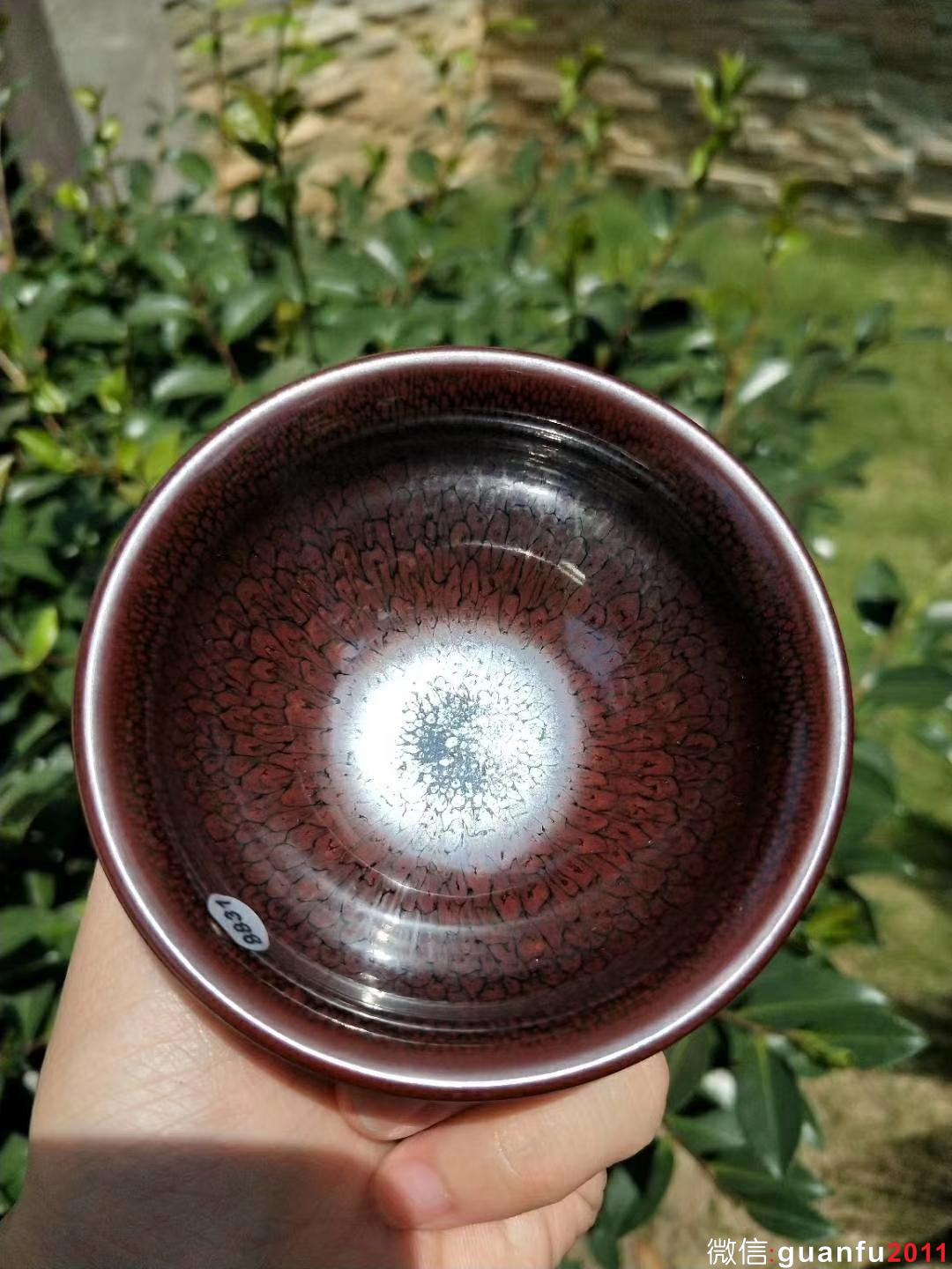 mmexport1532398126306