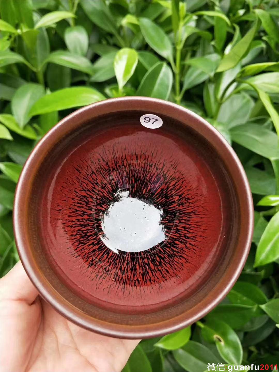 葉禮旺“鴻運” 口9高5 ?；悦? alt=