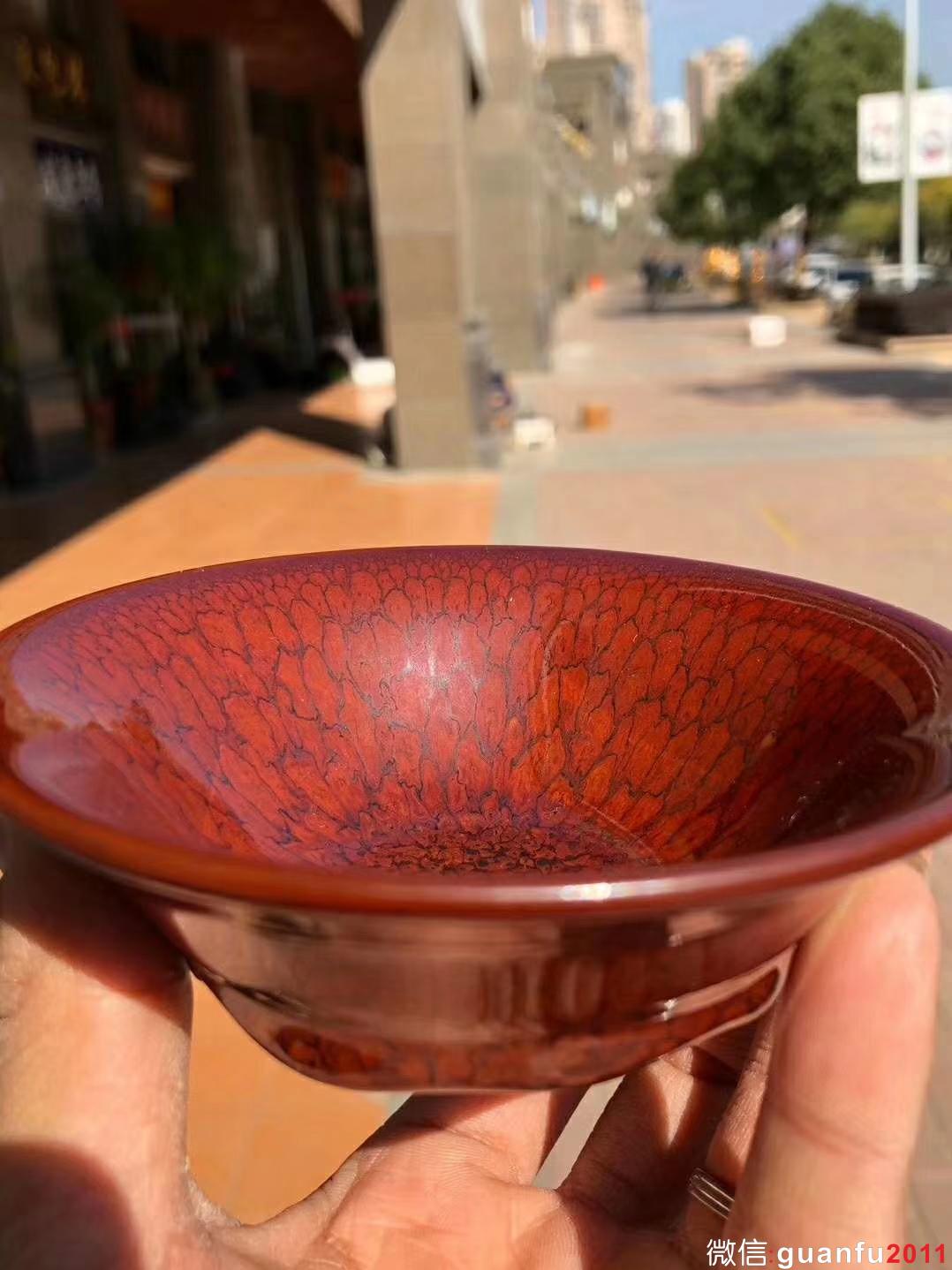 國大師 陳大鵬老師制 10.5紅鷓鴣