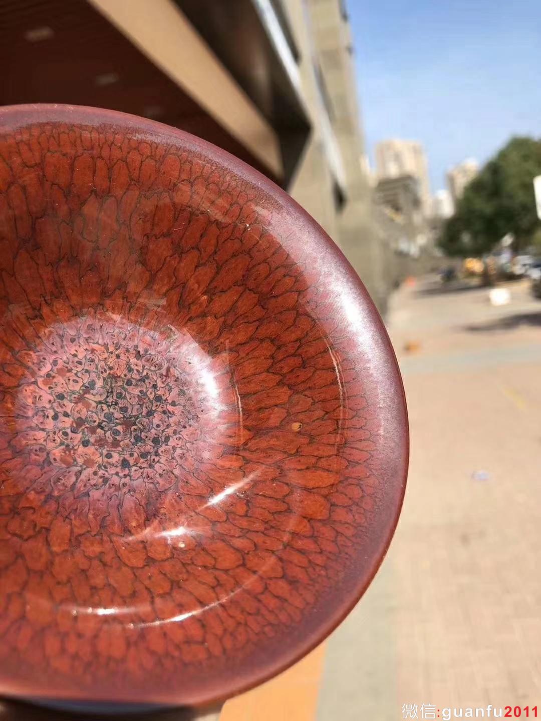 國大師 陳大鵬老師制 10.5紅鷓鴣