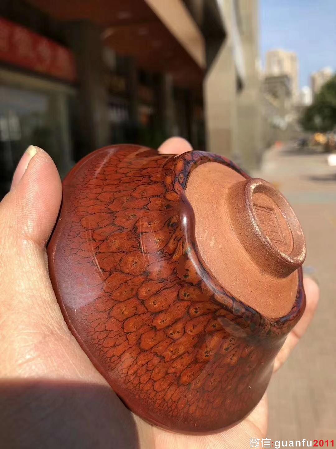 國大師 陳大鵬老師制 10.5紅鷓鴣