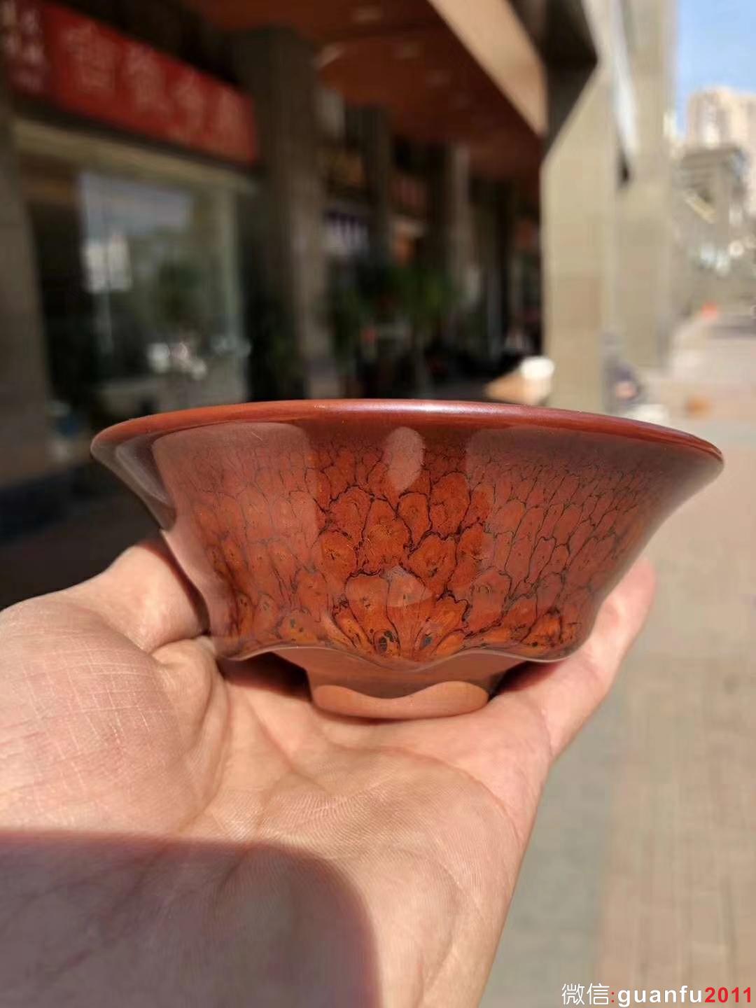 國大師 陳大鵬老師制 10.5紅鷓鴣