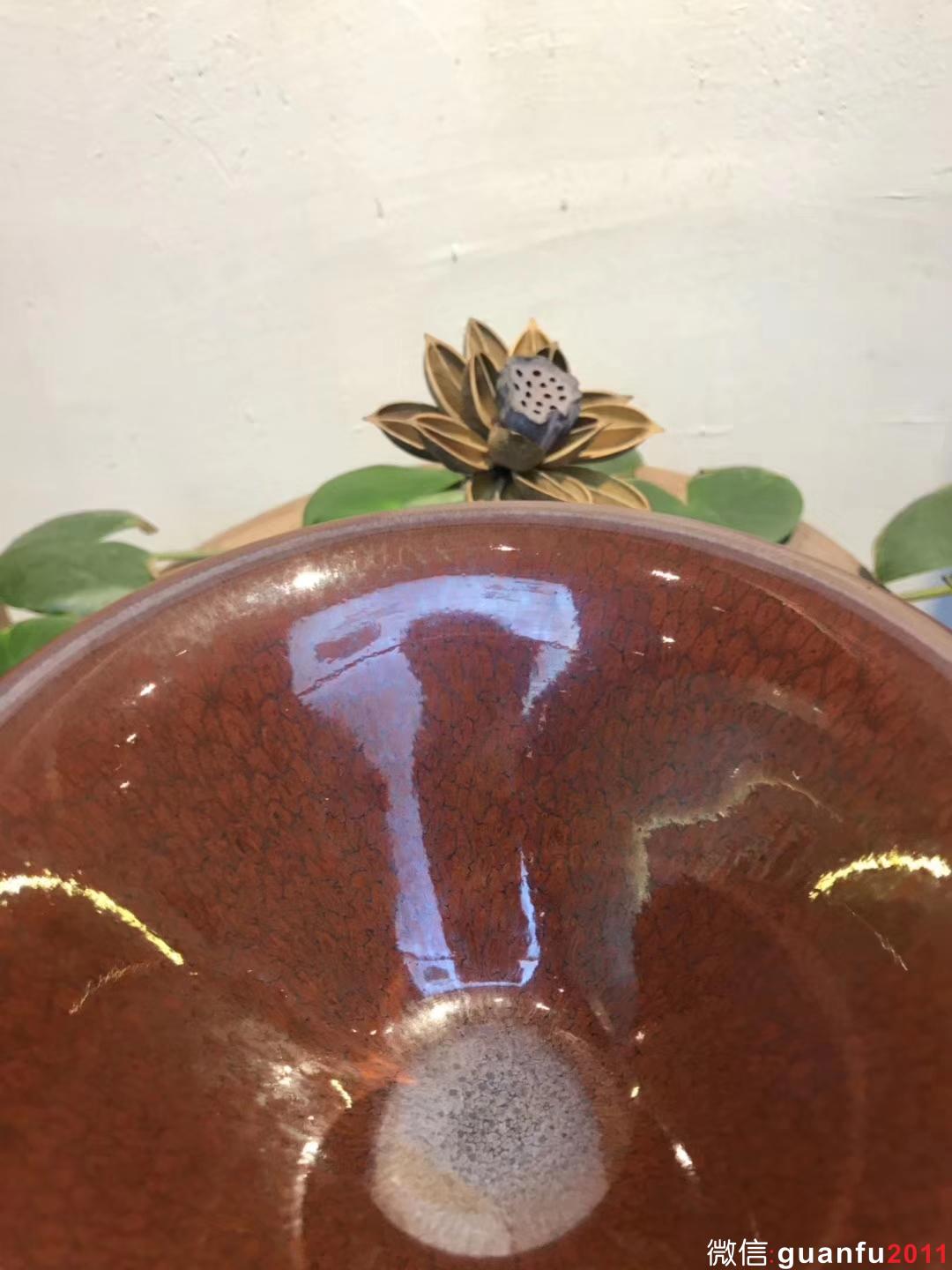 陳大鵬老師 紅鷓鴣斑 16口