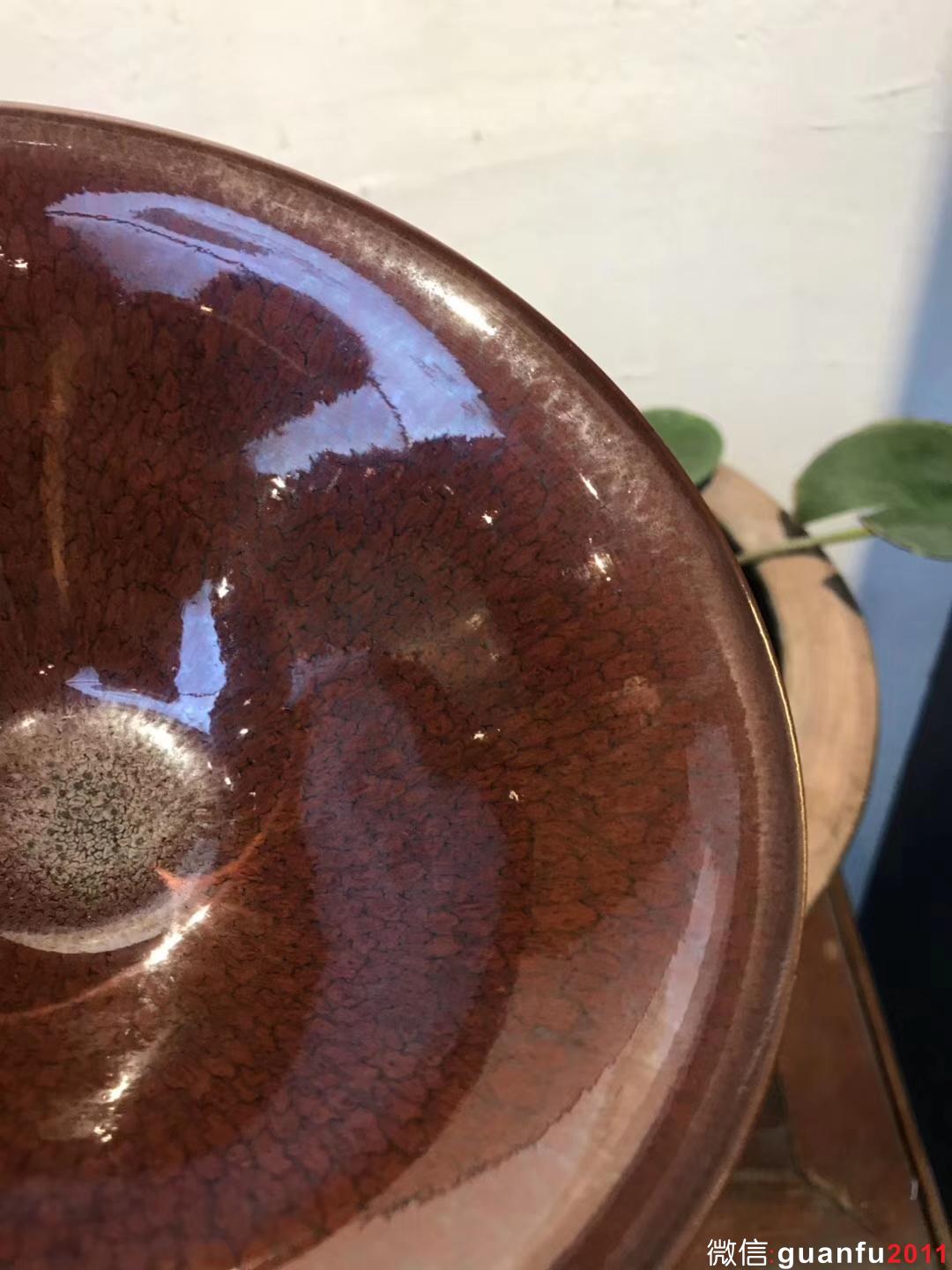 陳大鵬老師 紅鷓鴣斑 16口