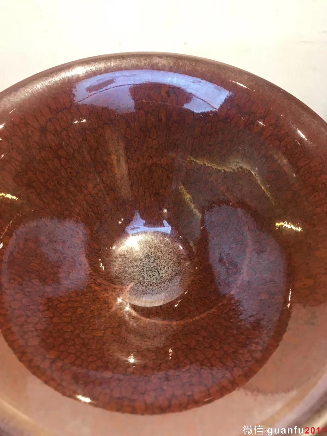 陳大鵬老師 紅鷓鴣斑 16口