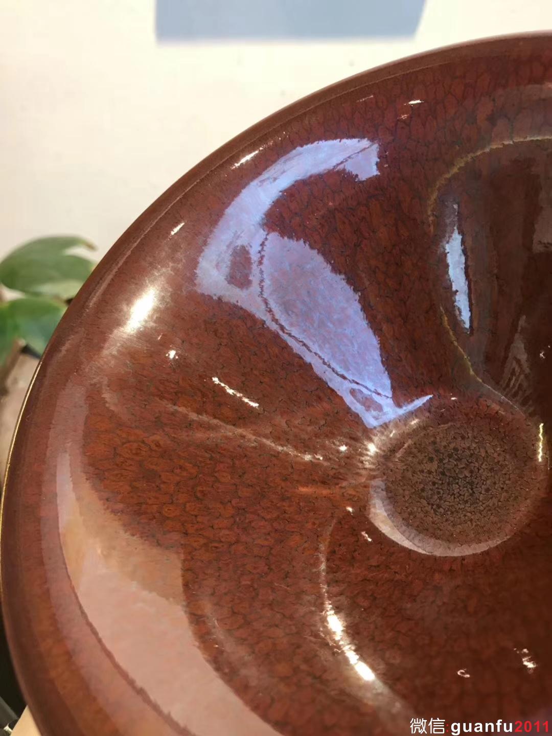 陳大鵬老師 紅鷓鴣斑 16口