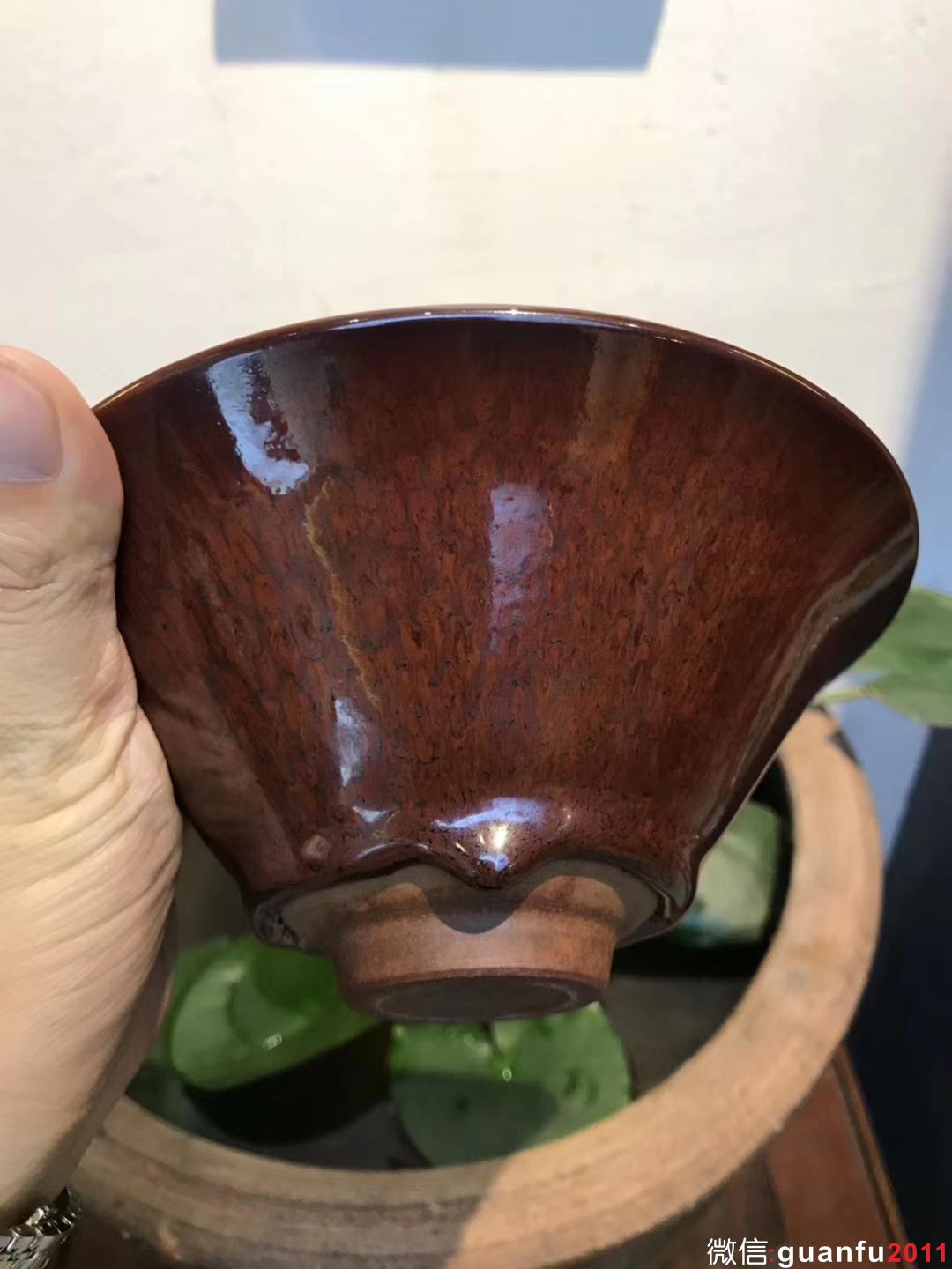 陳大鵬老師 紅鷓鴣斑 16口