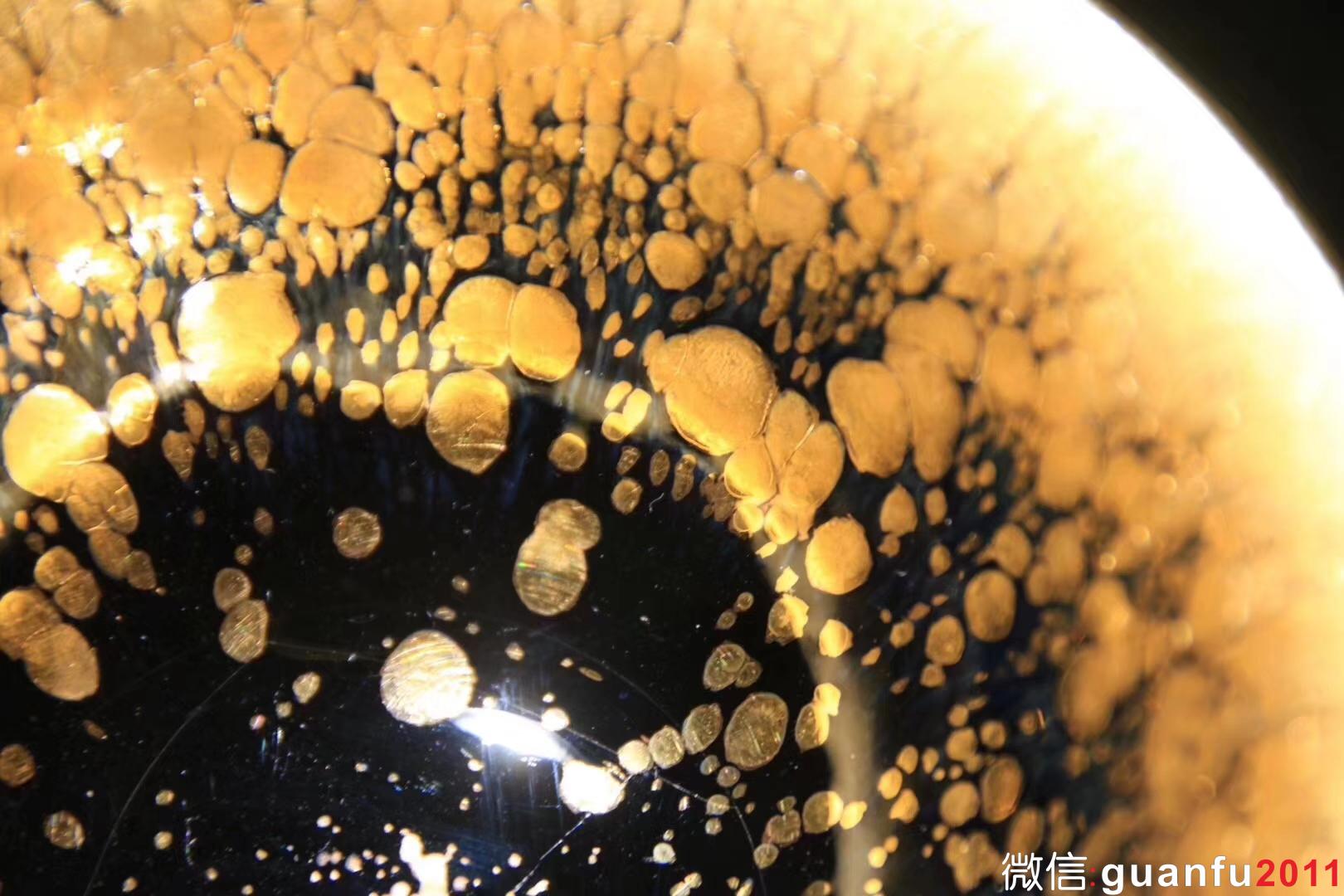 金油滴-范澤鋒老師制 規(guī)格：9.3*4.5公分