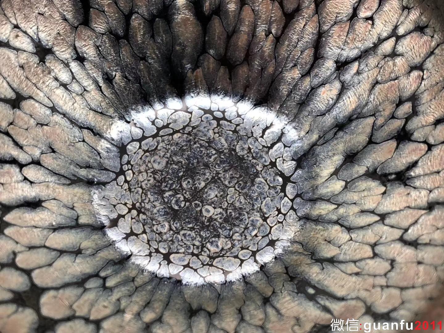 mmexport1532852588211