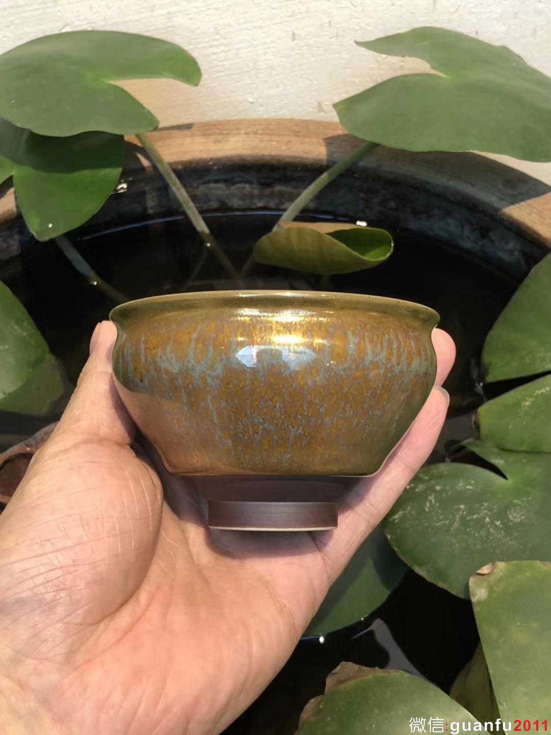 mmexport1532853551909