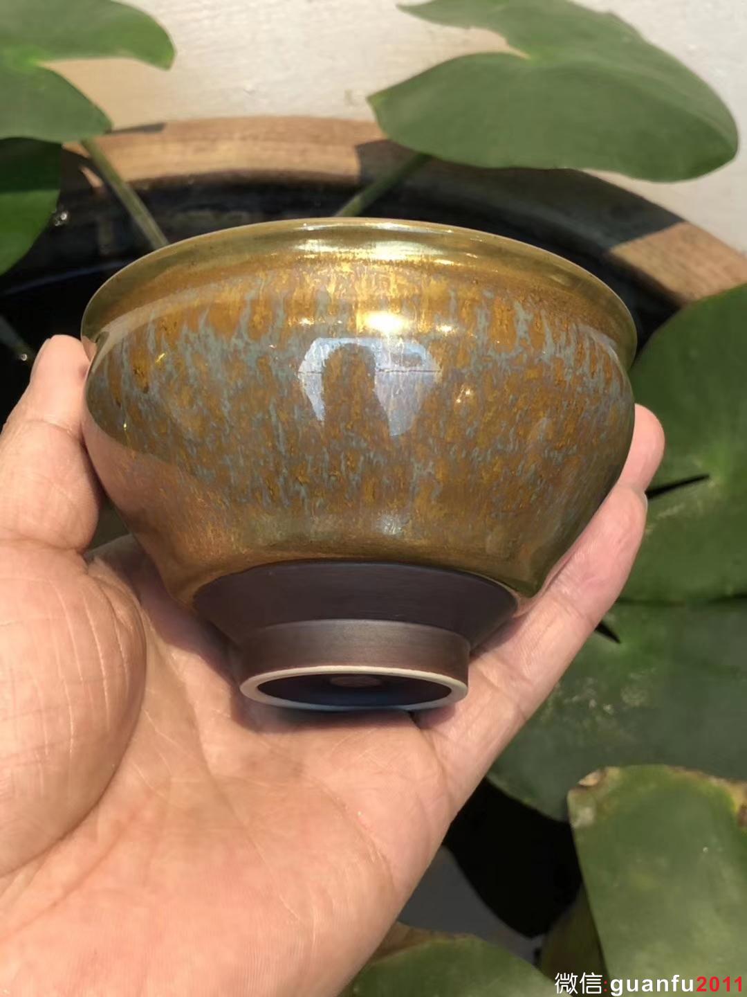 mmexport1532853567677