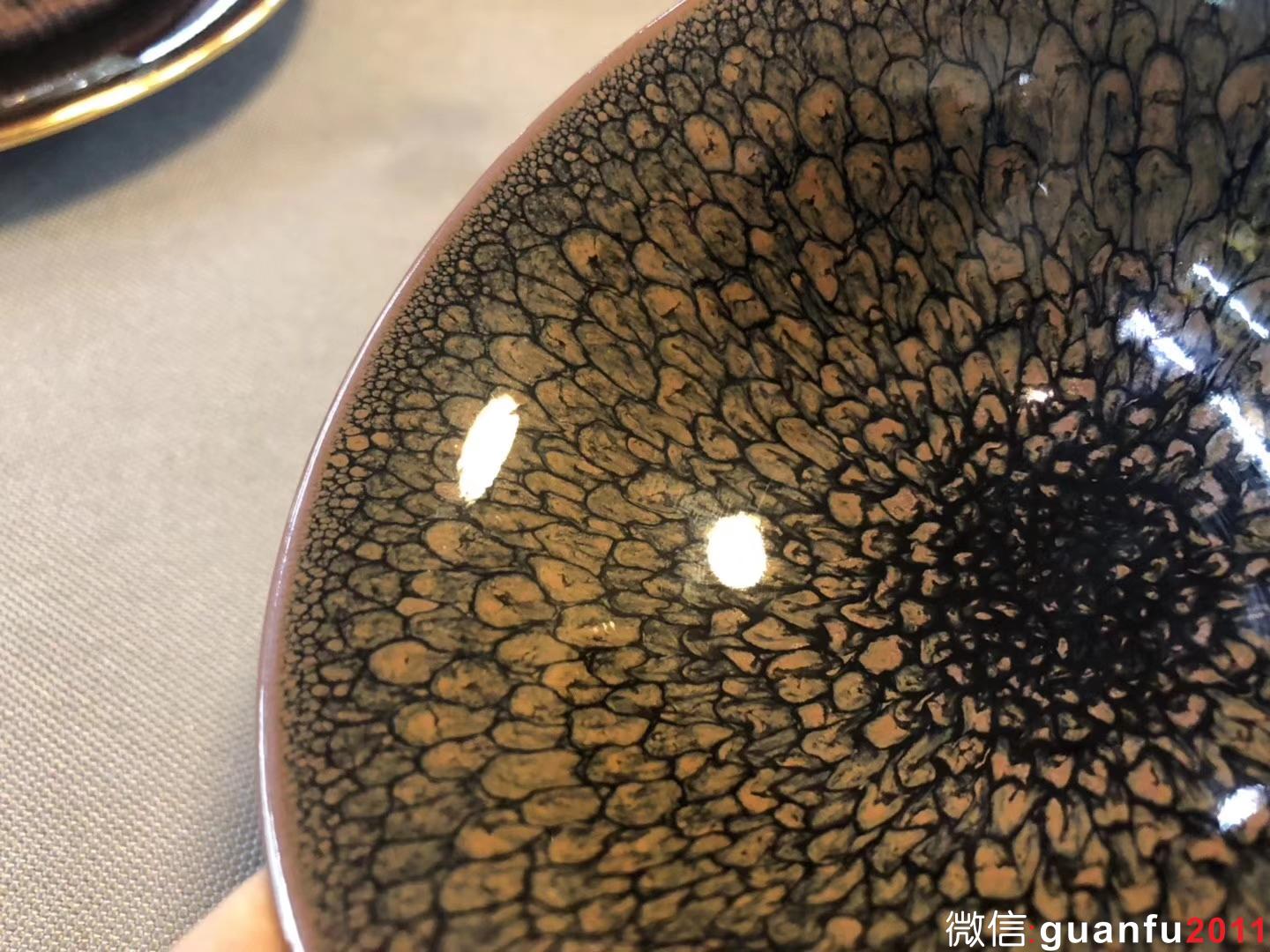 陳大鵬老師 10.5（鷓鴣斑）