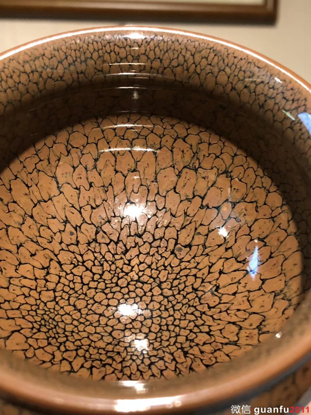 陳大鵬老師 香爐型 鷓鴣斑