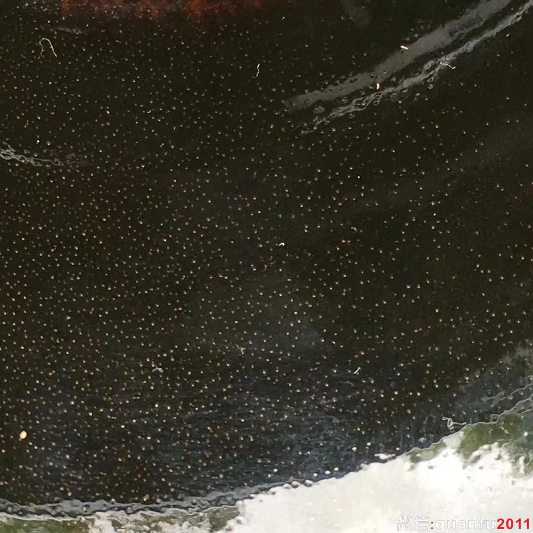 作者：范澤鋒老師 作品：金蟬翼 口徑：8.6x5.8  cm