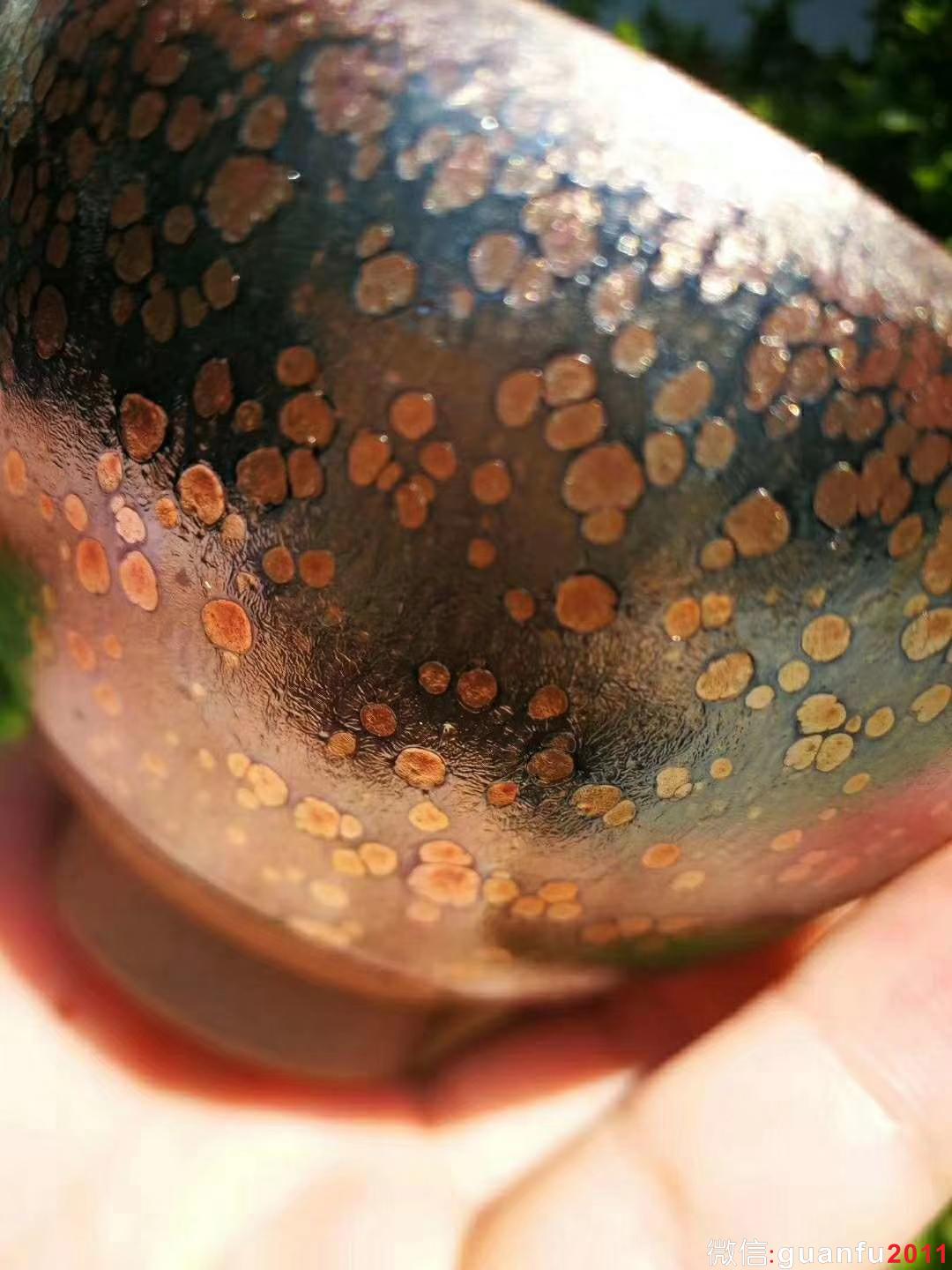 mmexport1533094420298