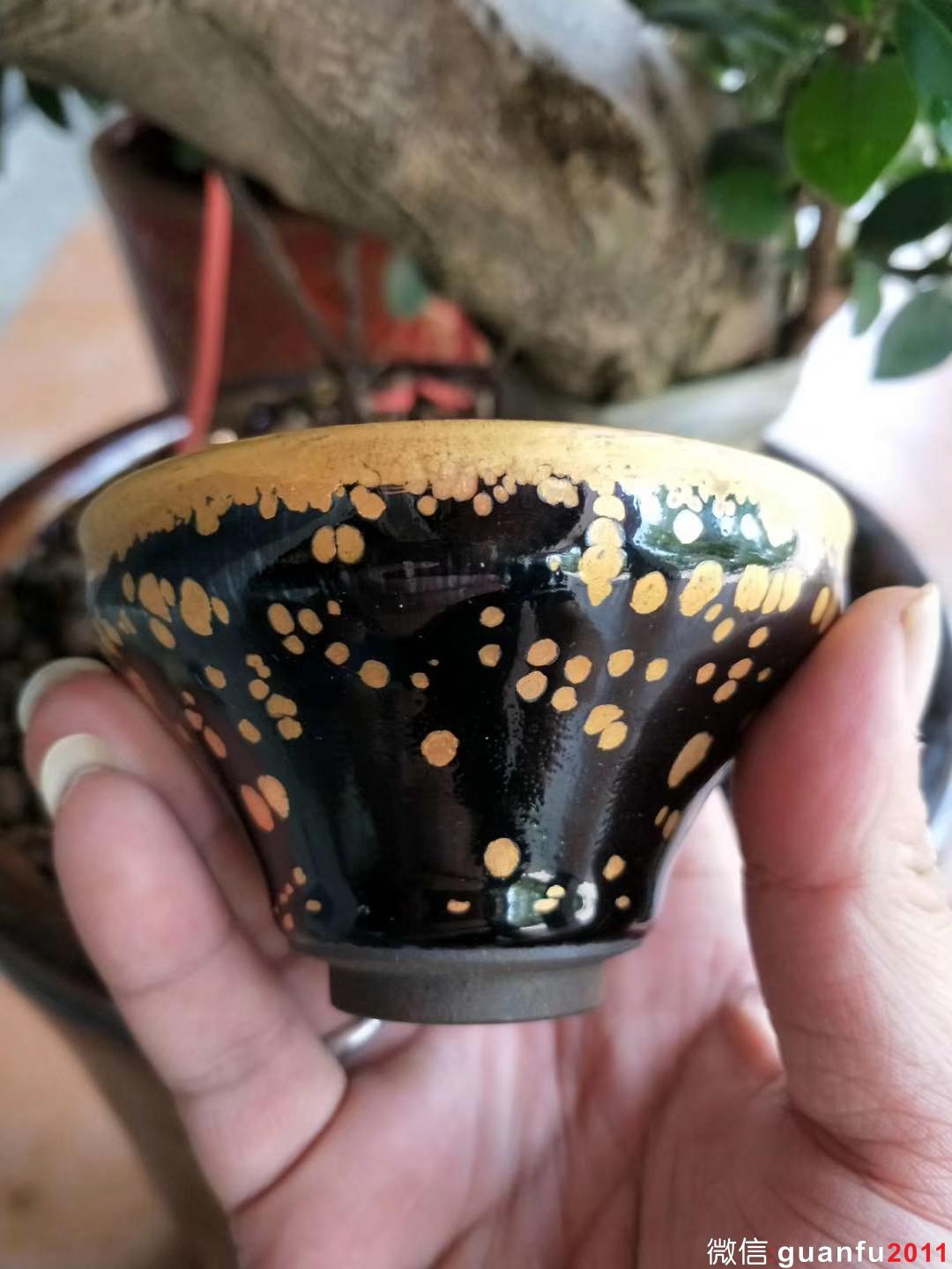 mmexport1533094460894