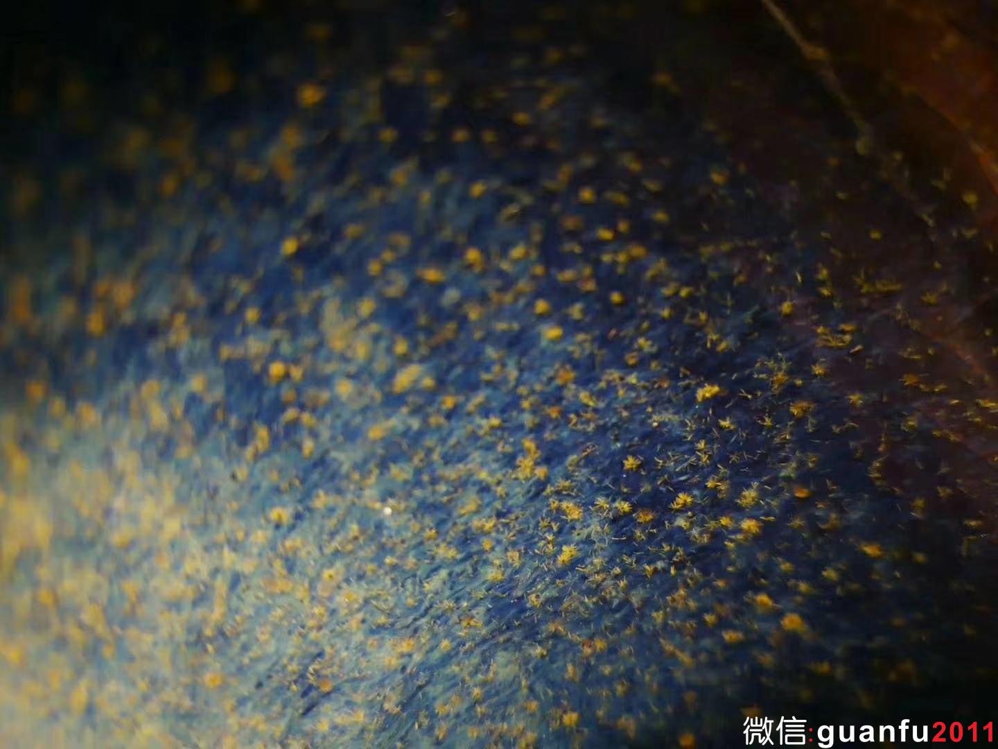 mmexport1533094484187