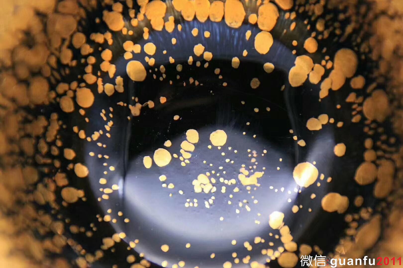 范澤鋒老師——金油滴